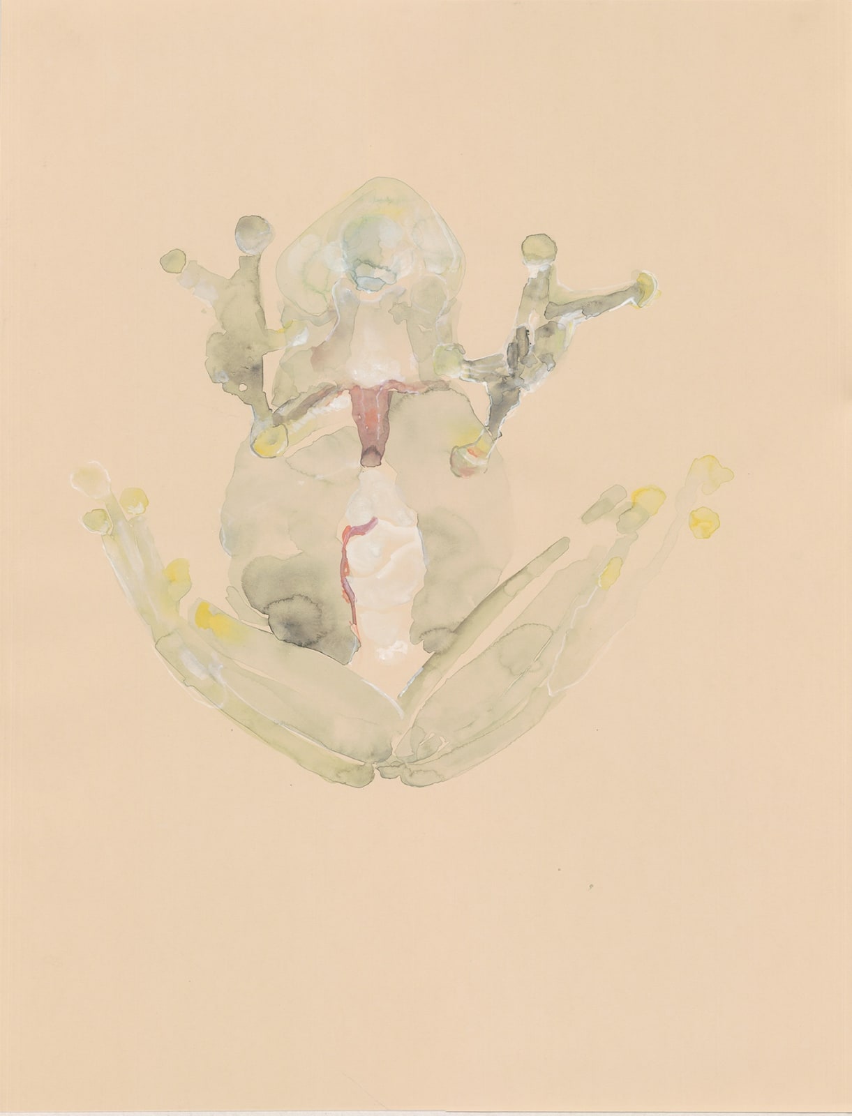 Barbara Ellmerer, Atomvorstellung. Annäherung an Lukrez, 2017
