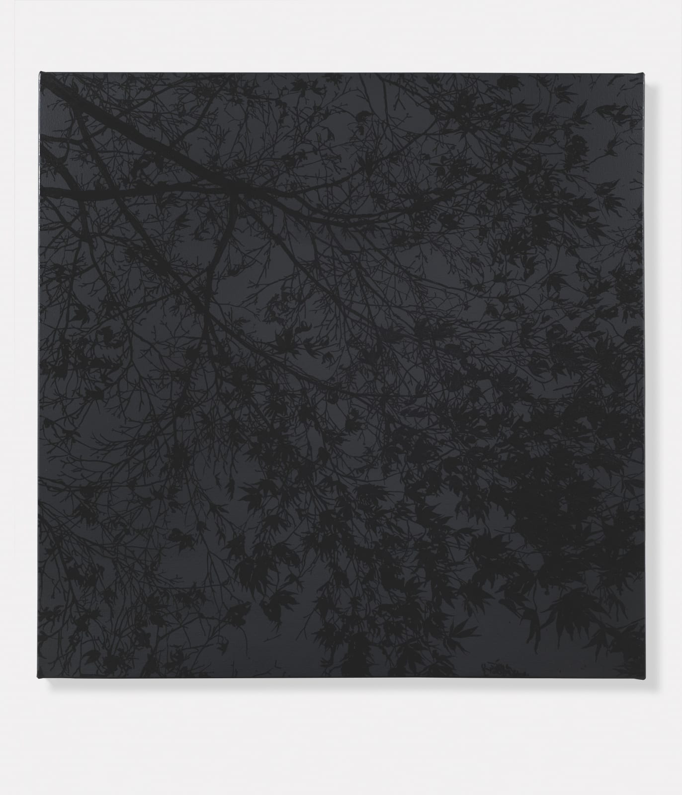 Sue Arrowsmith, 50 words to snow, 2013