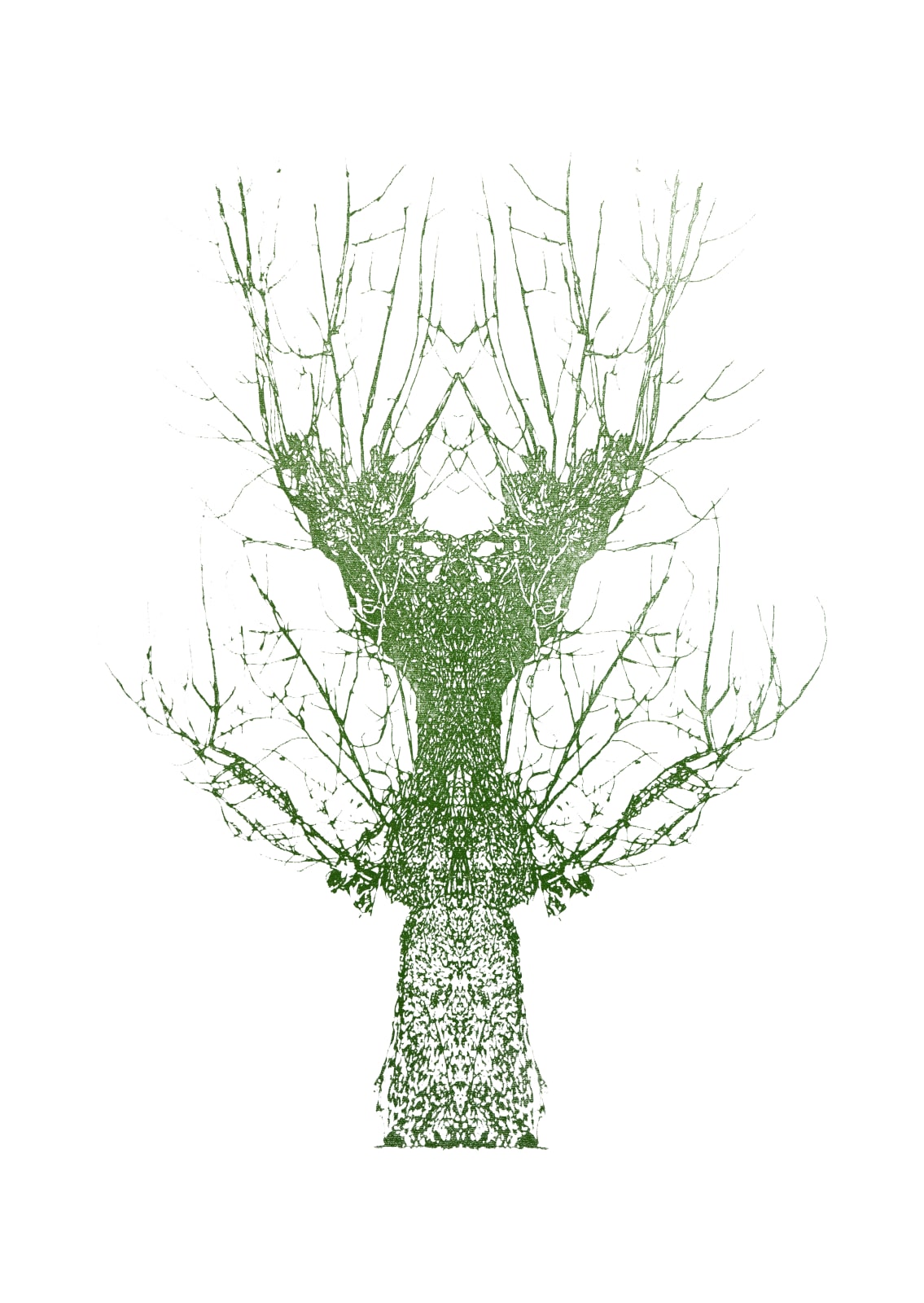 Eamon O'Kane, Dark Green Baum Test, 2022