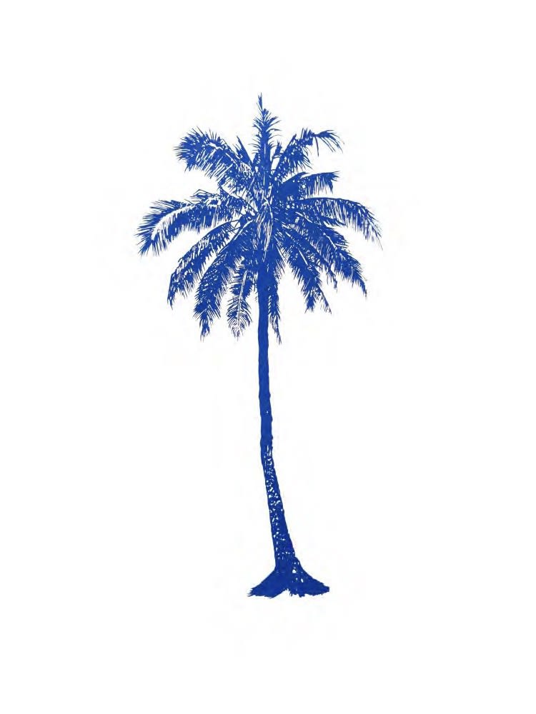 Eamon O'Kane, Blue Palm Tree, 2025