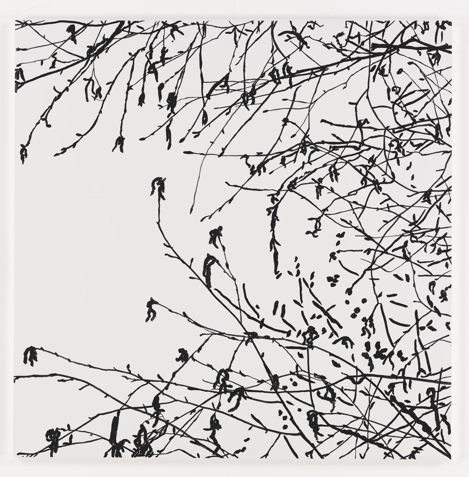 Sue Arrowsmith, Summer breeze, 2016