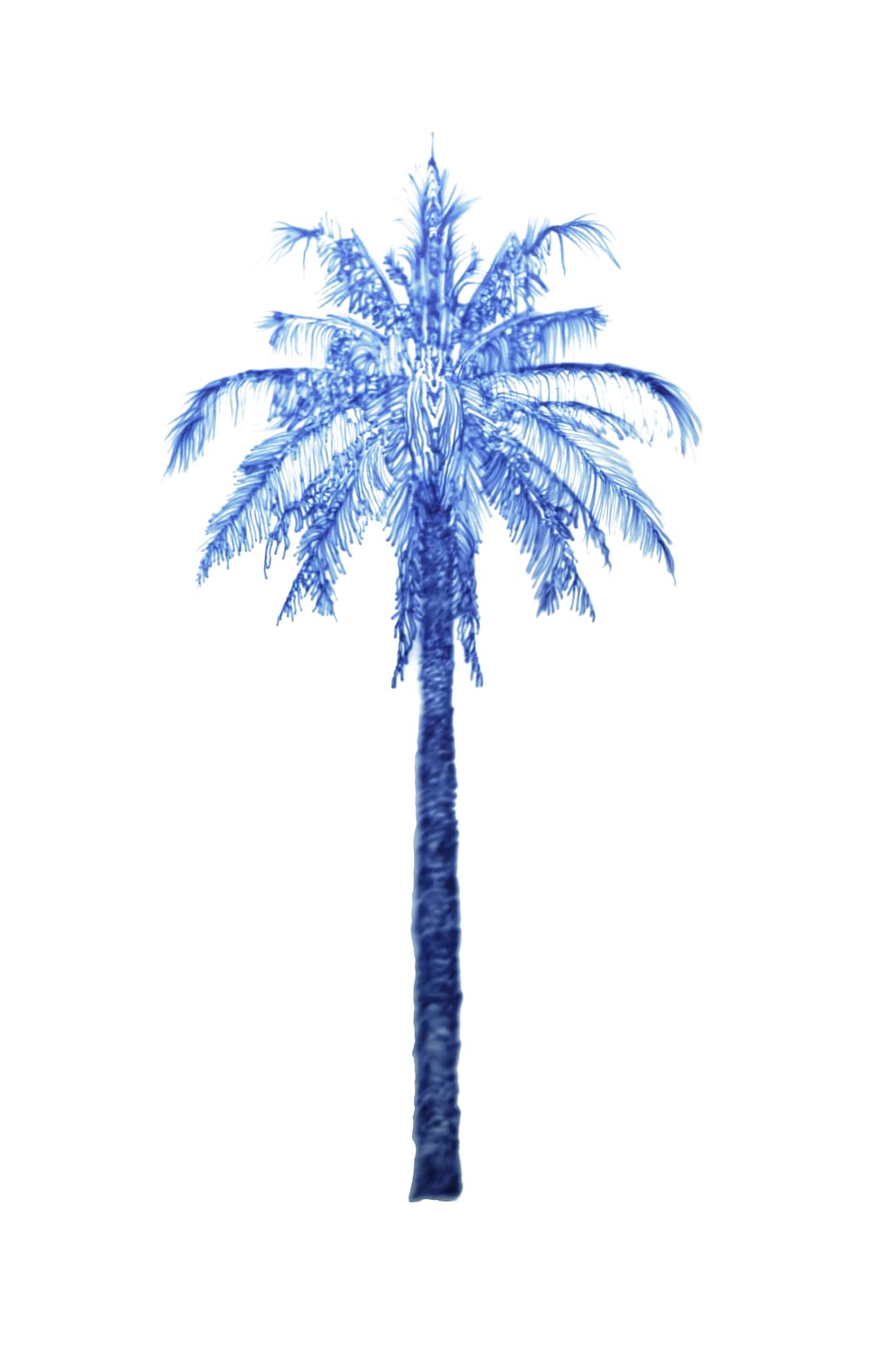 Eamon O'Kane, Baum Test Blue Palm I, 2023
