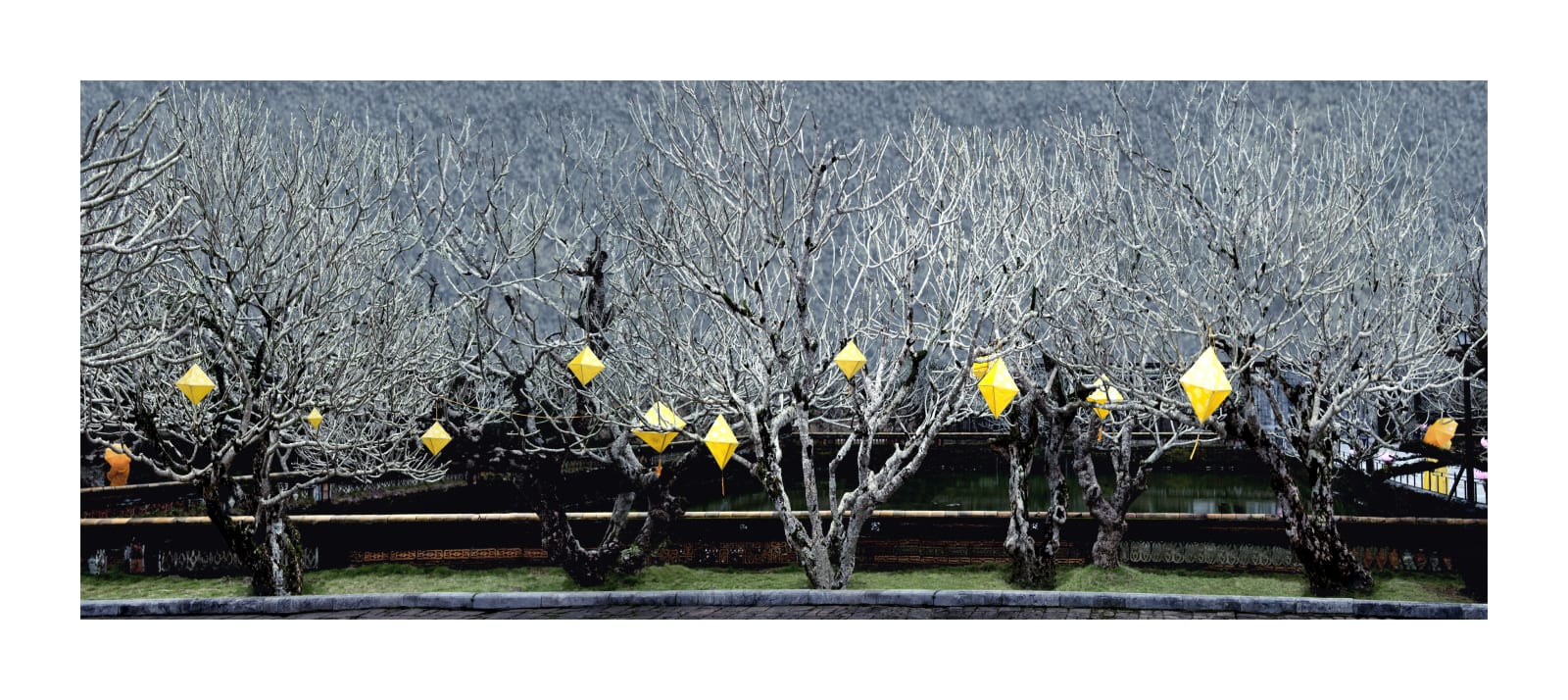 Ralf Peters, Citrus, 2017