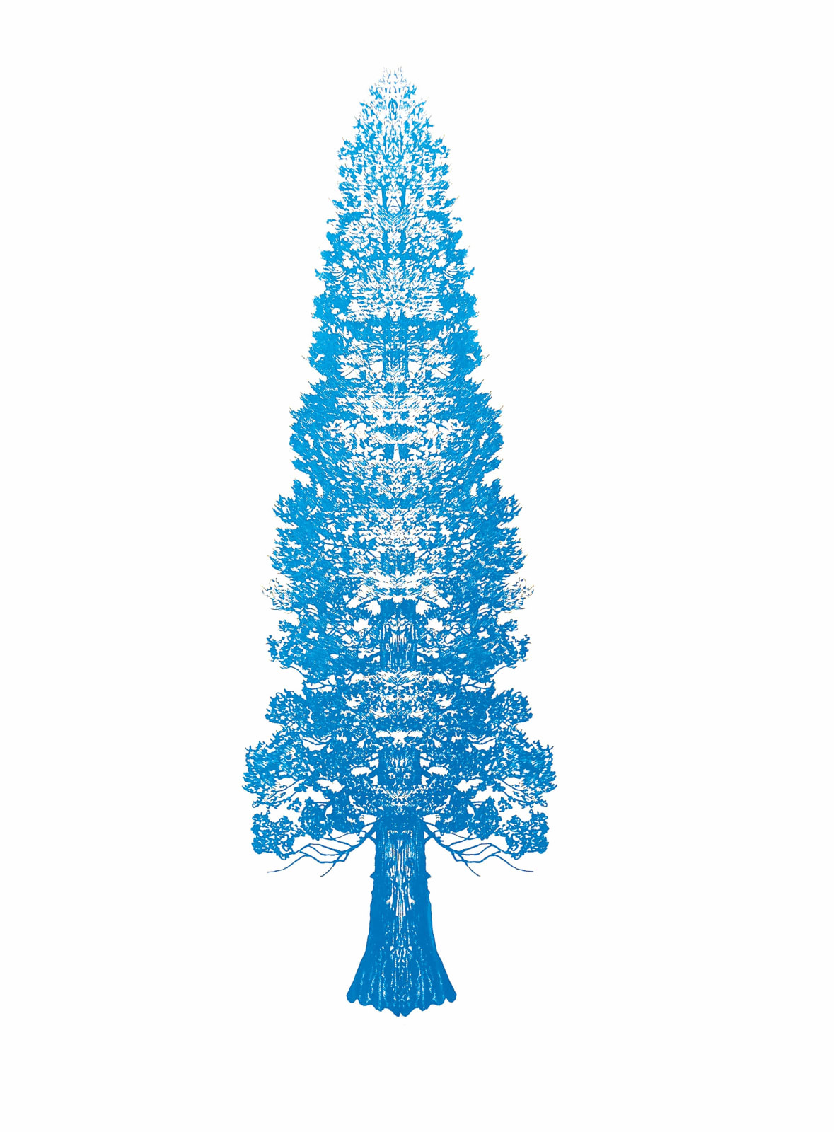 Eamon O'Kane, Blue Baum Test , 2023