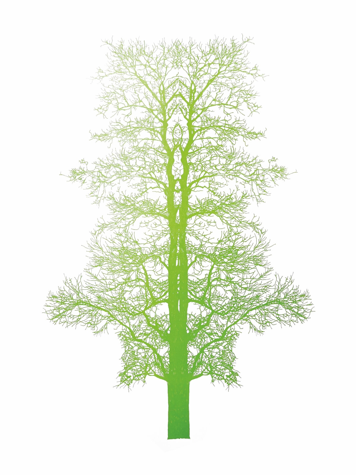 Eamon O'Kane, Green Baum Test , 2023