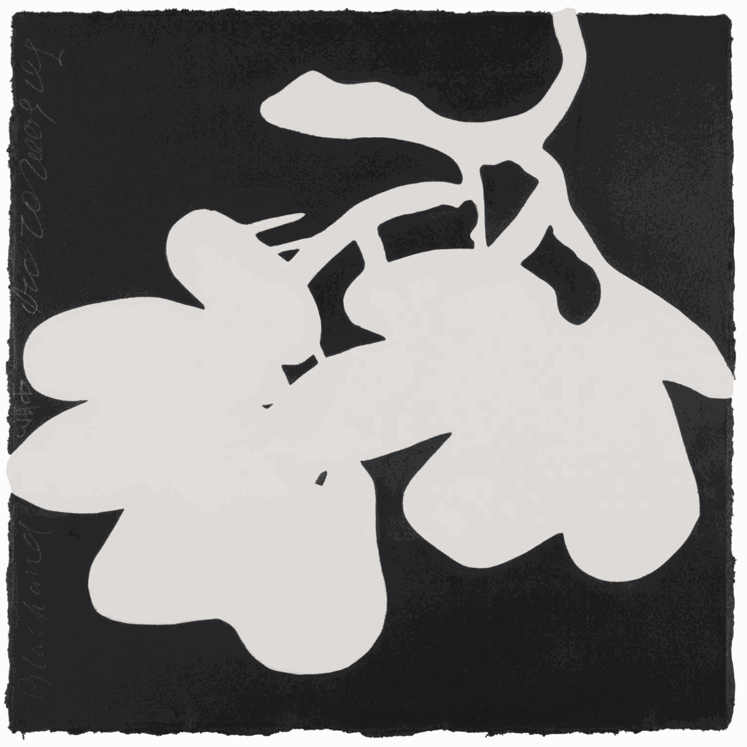 Donald Sultan, Black and White Dec 20 2009, 2009