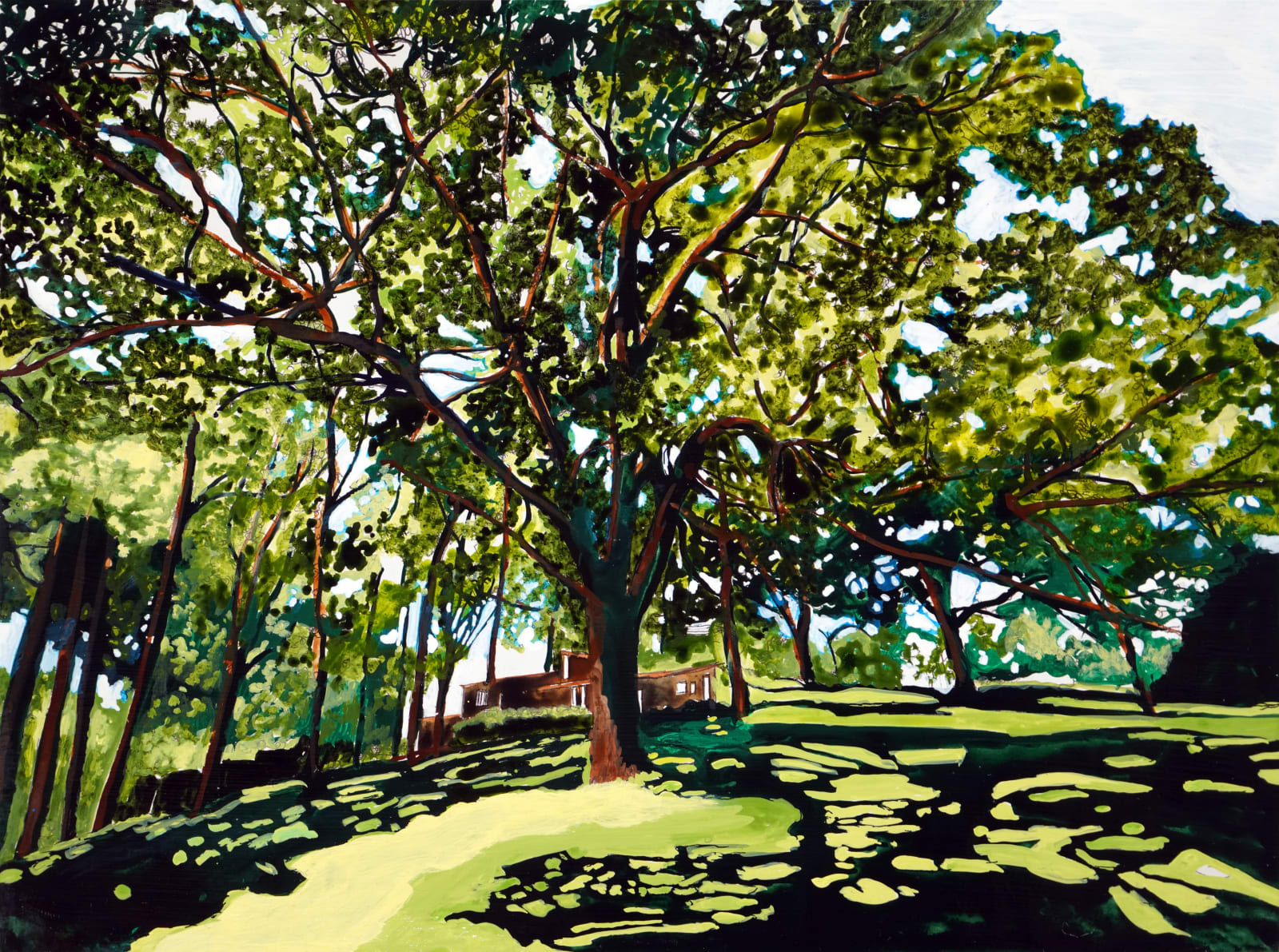 Eamon O'Kane, Taliesen Tree (Frank Lloyd Wright), 2023