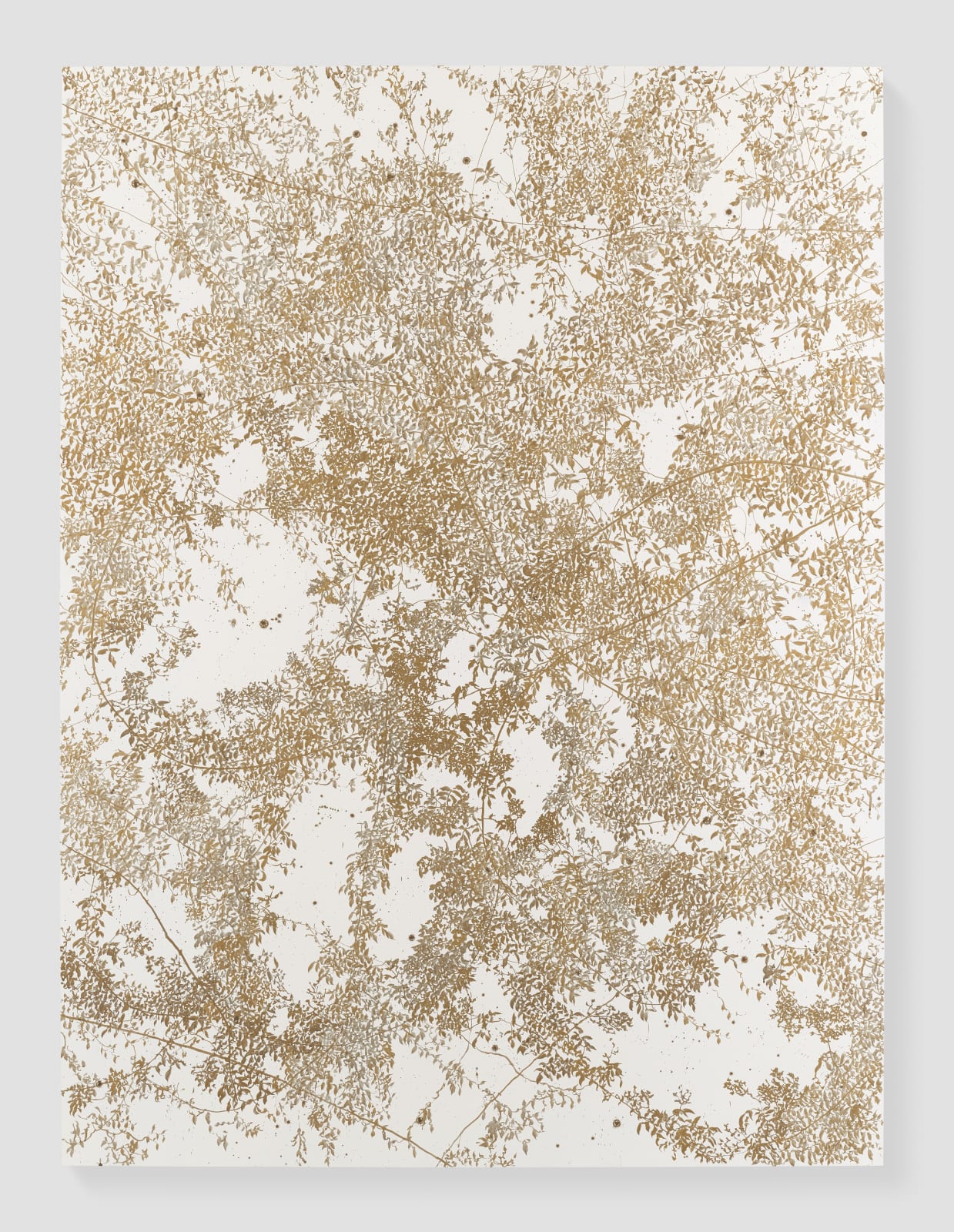 Sue Arrowsmith, Feels like heaven, 2019