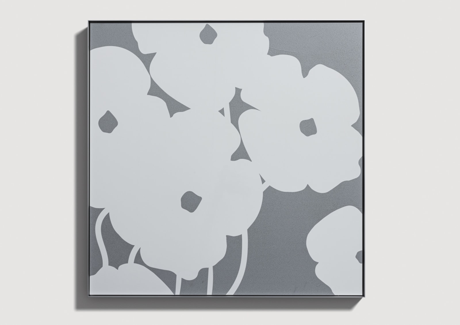 Donald Sultan, White Poppies in Cement, 2024