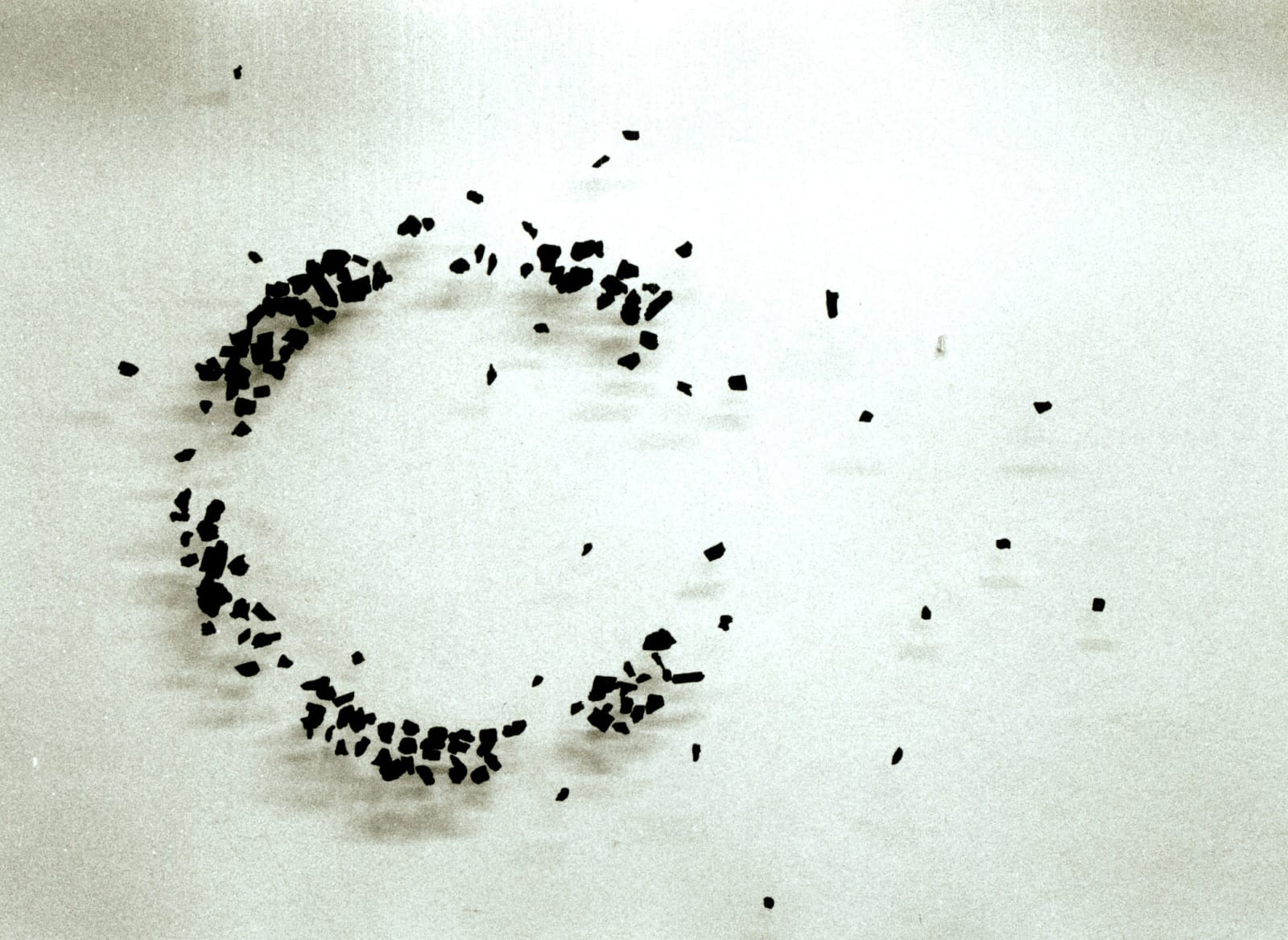 Bahk Seon Ghi, Existence Circle 2011,, 2011