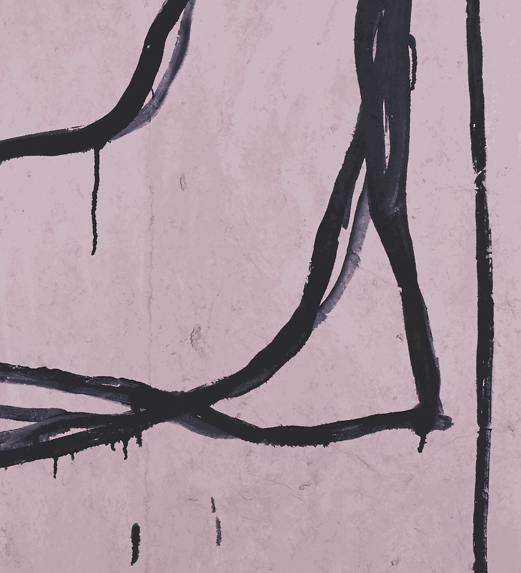 Joan Hernández Pijuan, Flor Rosa, 1990
