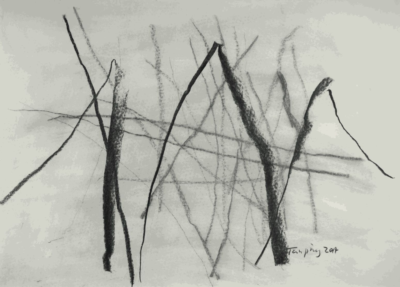 Tan Ping, 素描, 2014