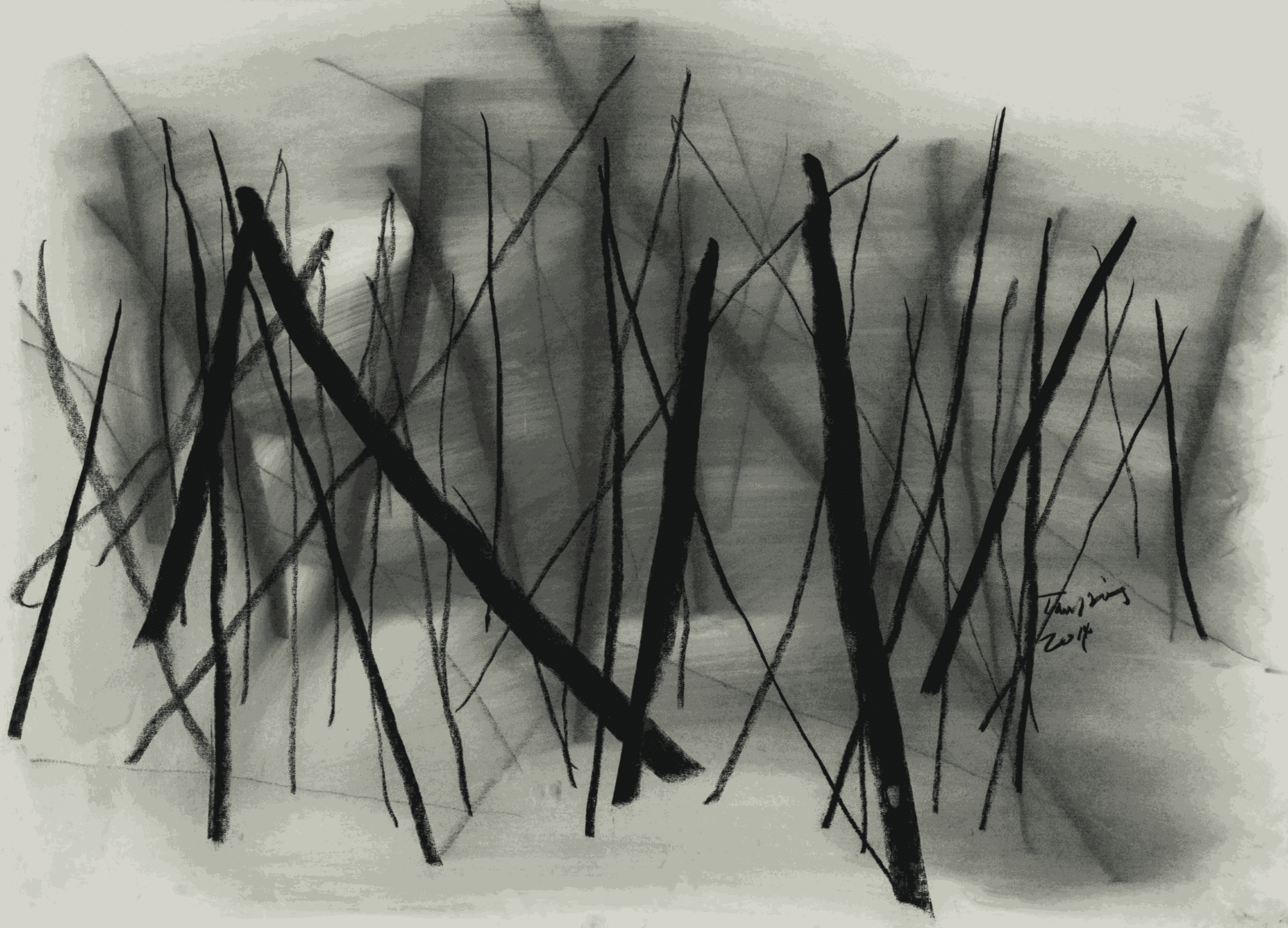 Tan Ping, 素描, 2014