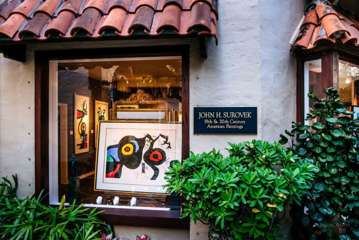 Surovek Gallery 349 Worth Avenue, 8 Via Parigi