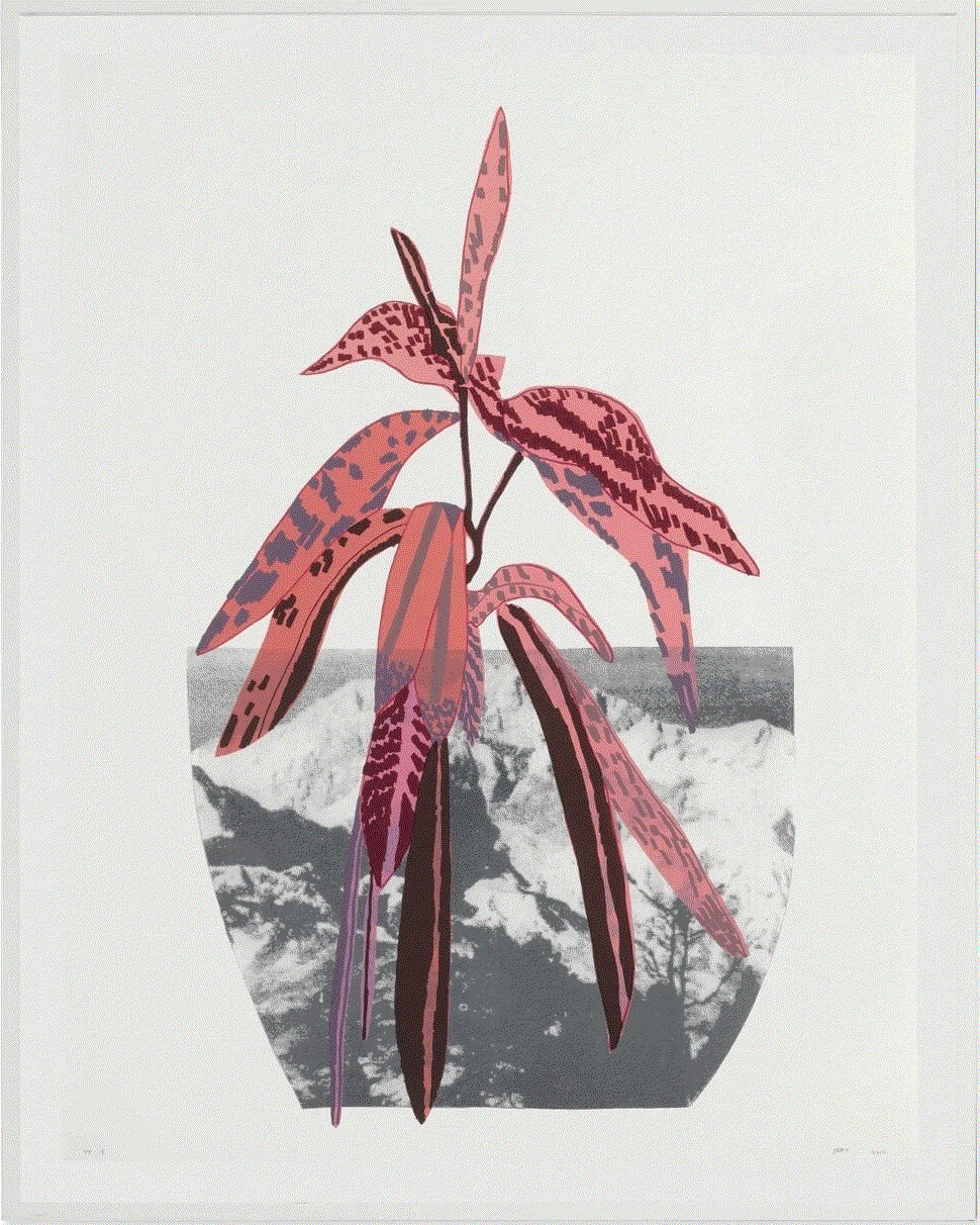 Jonas Wood UNTITLED, 2014 Lithograph and screenprint in colors on 50 oz Coventry Rag paper 48 x 37 1/8 in PP1 Available at Surovek Gallery