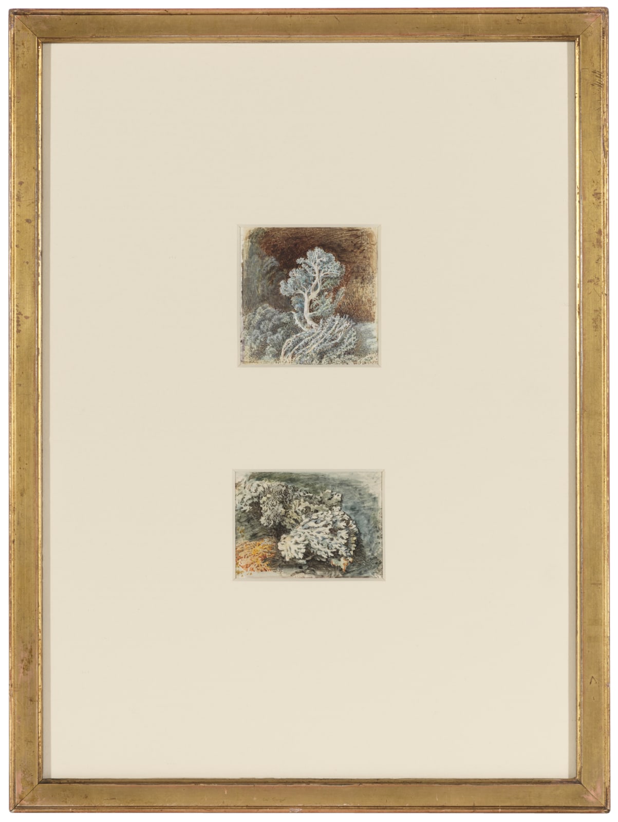 John MacWhirter 1838-1911, Two studies of Lichen