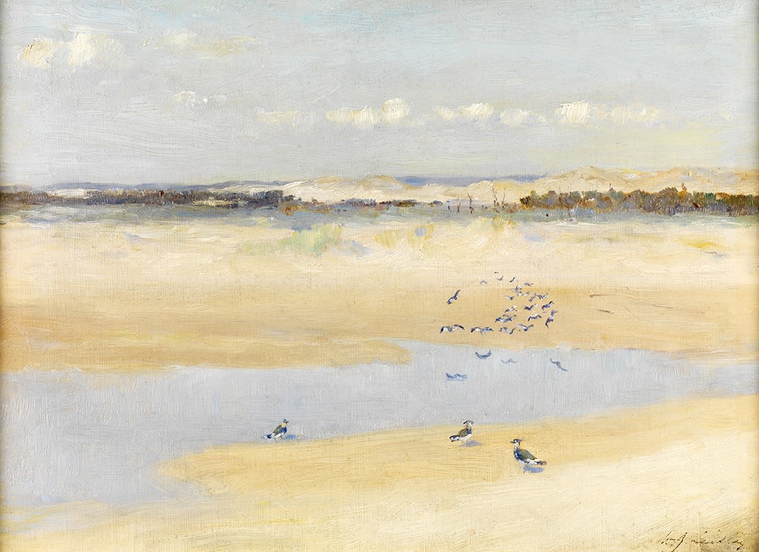 William James Laidlay (1846-1912), Lapwings by the Sea