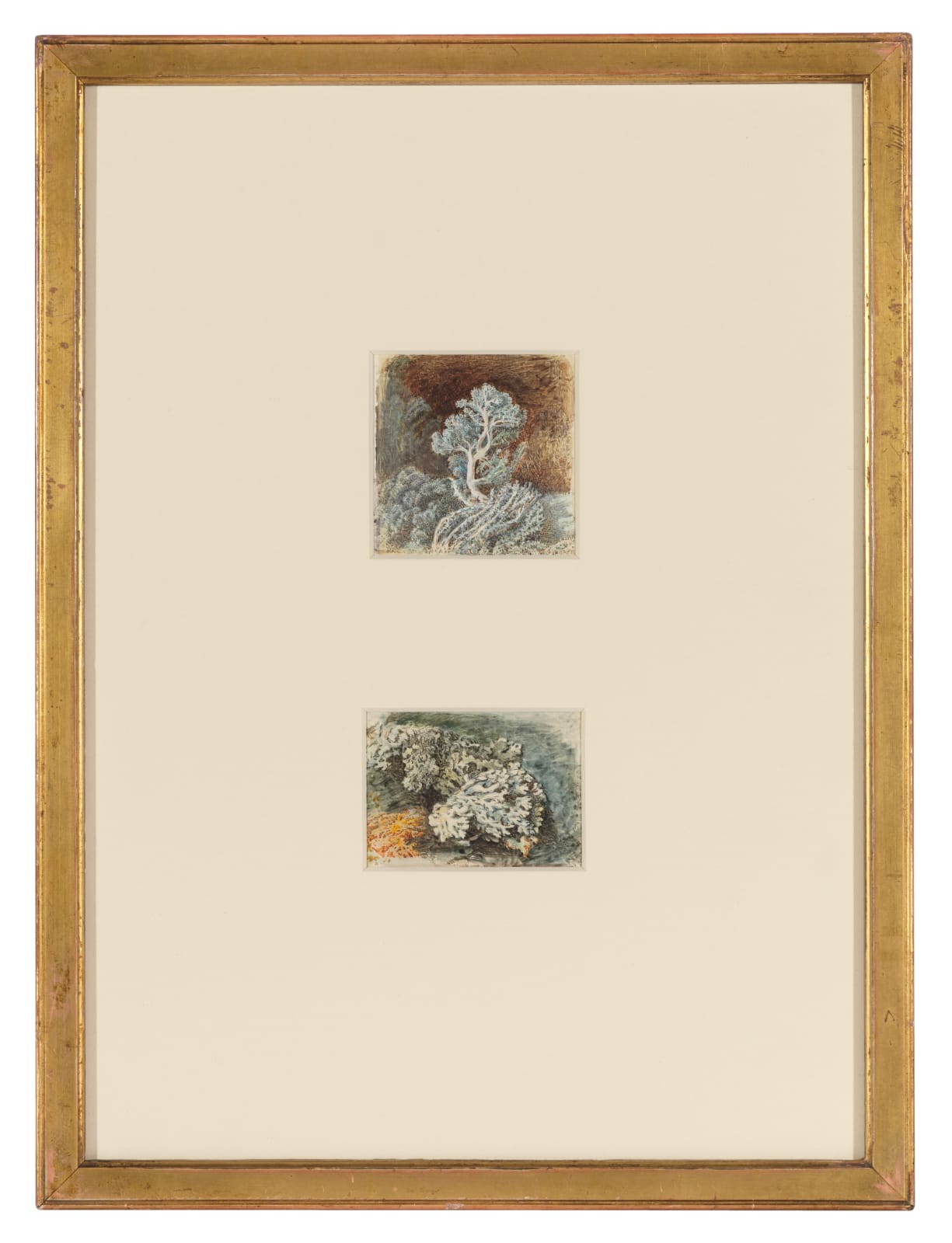 John MacWhirter 1838-1911, Two studies of Lichen