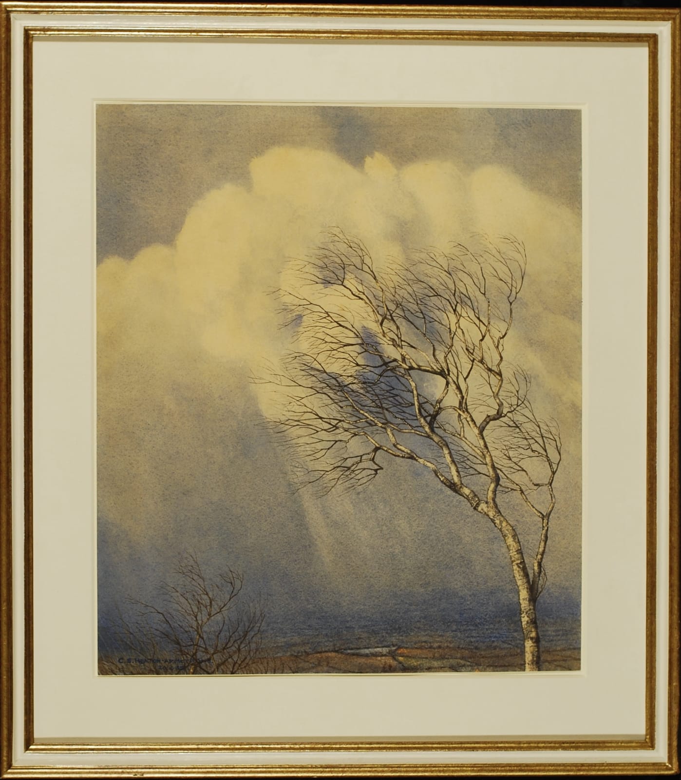 C.S Heaton-Armstrong (1896-1975), A Birch Tree in the Wind