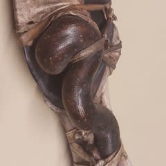 Anthropaleo bundle 1, 2023