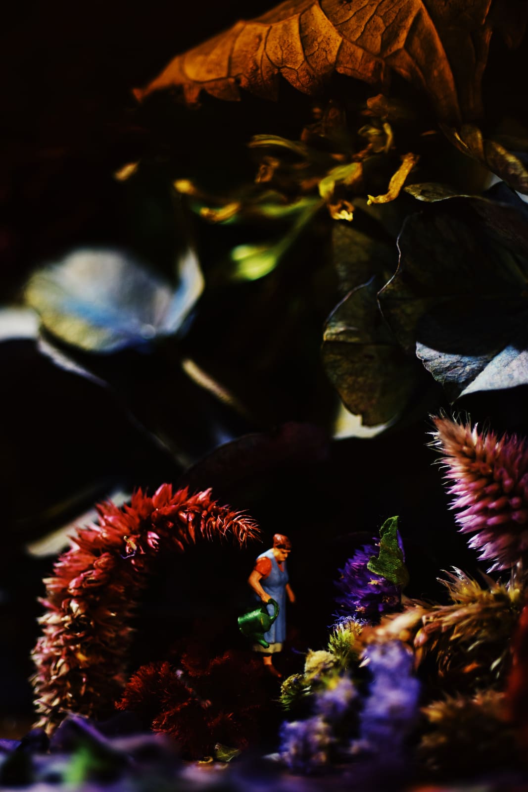 AA - LOCALS NO. 2 , TARA GORMAN -FLORA, 2025