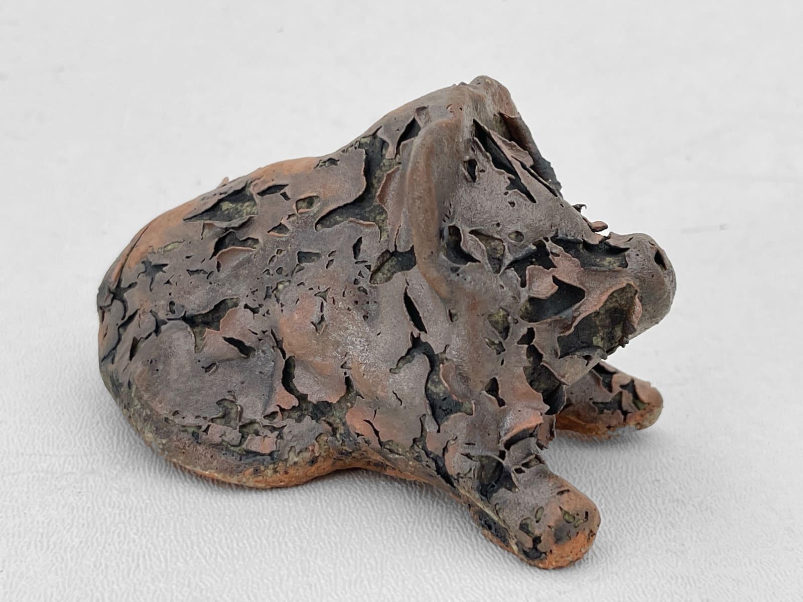 adam gurvitch, Kekaha the boar, 2024