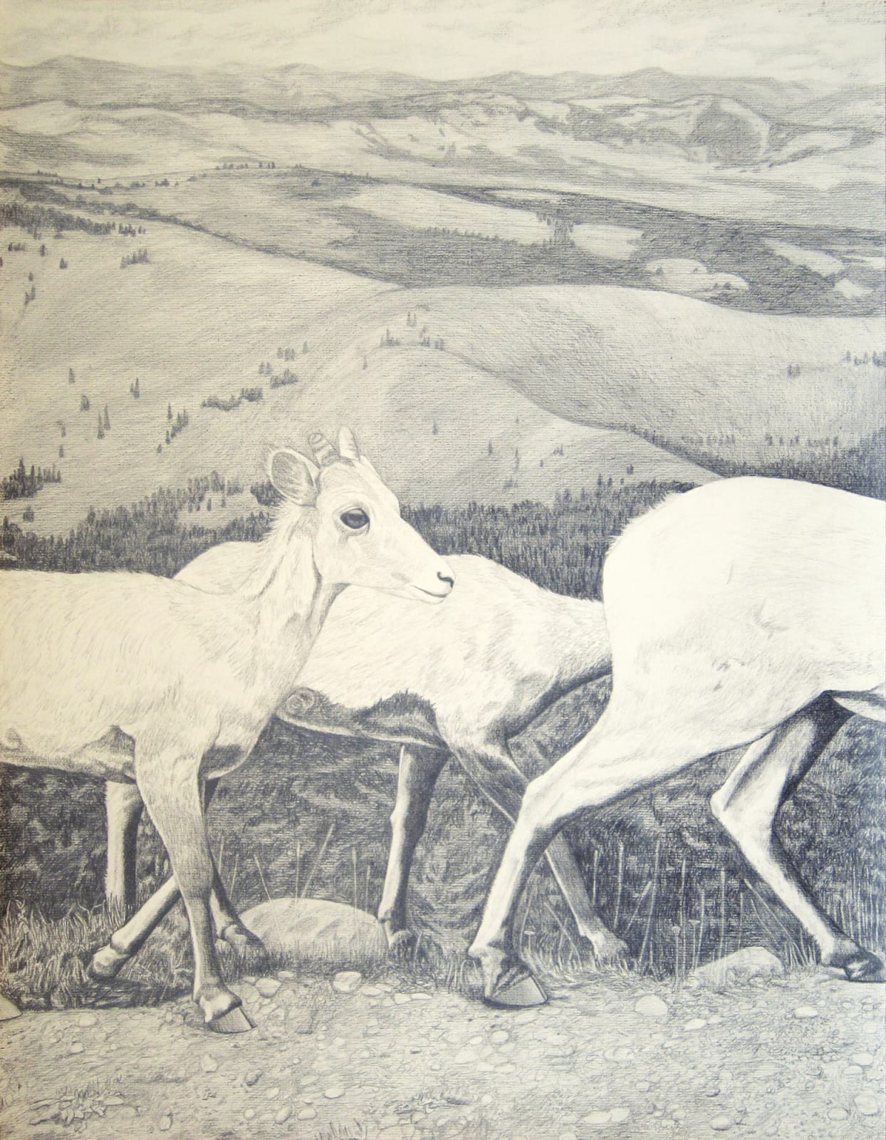 AA - LOCALS NO. 2 , CATHY DURSO - DESCENDING THE MOUNTAIN