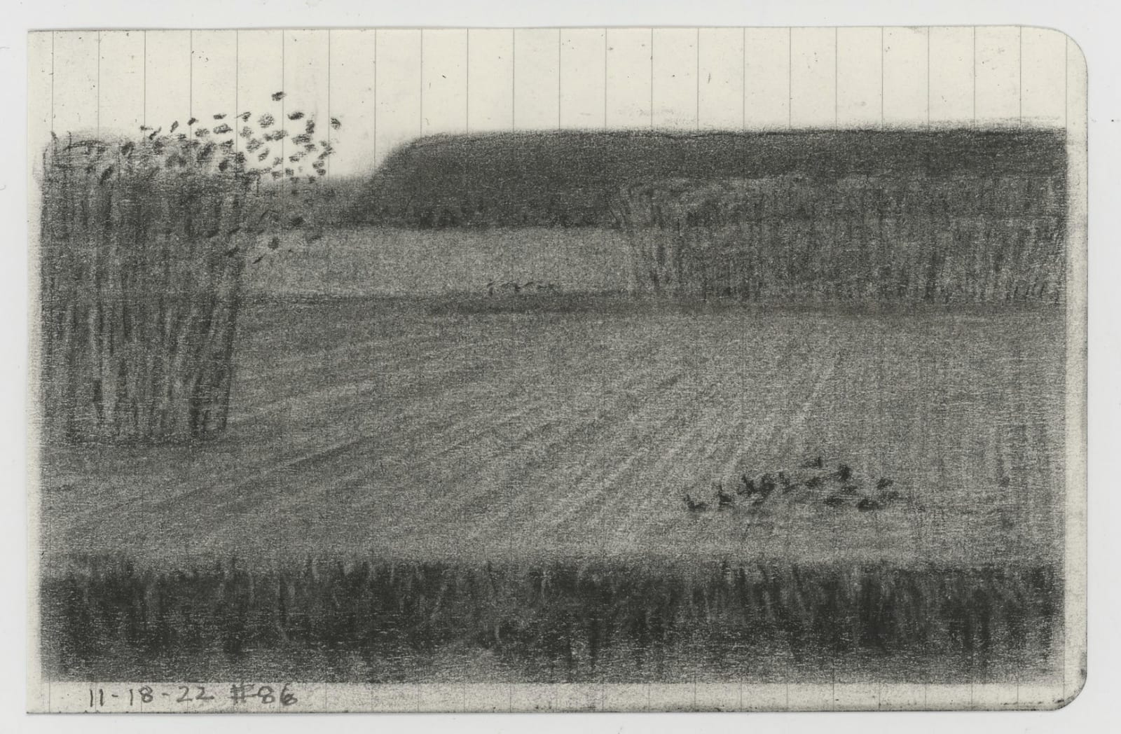 NORTHEAST DECONSTRUCTED GROUP 2, Stacy Caldwell no. 7