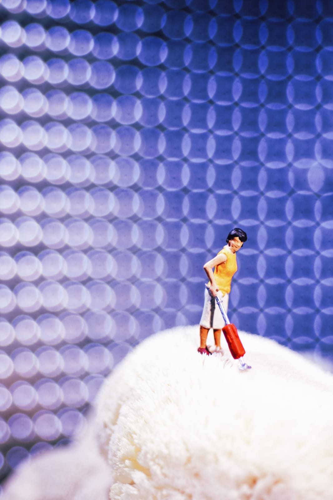 AA - LOCALS NO. 2 , TARA GORMAN - LION'S MANE , 2025