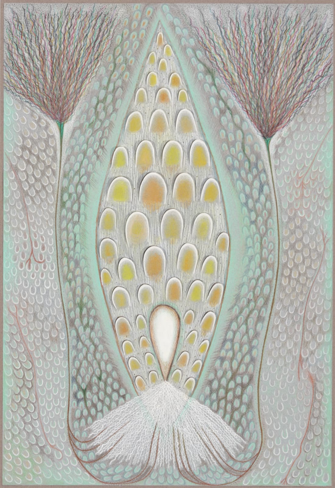 MARCY HERMANSADER, milkweed, 2014
