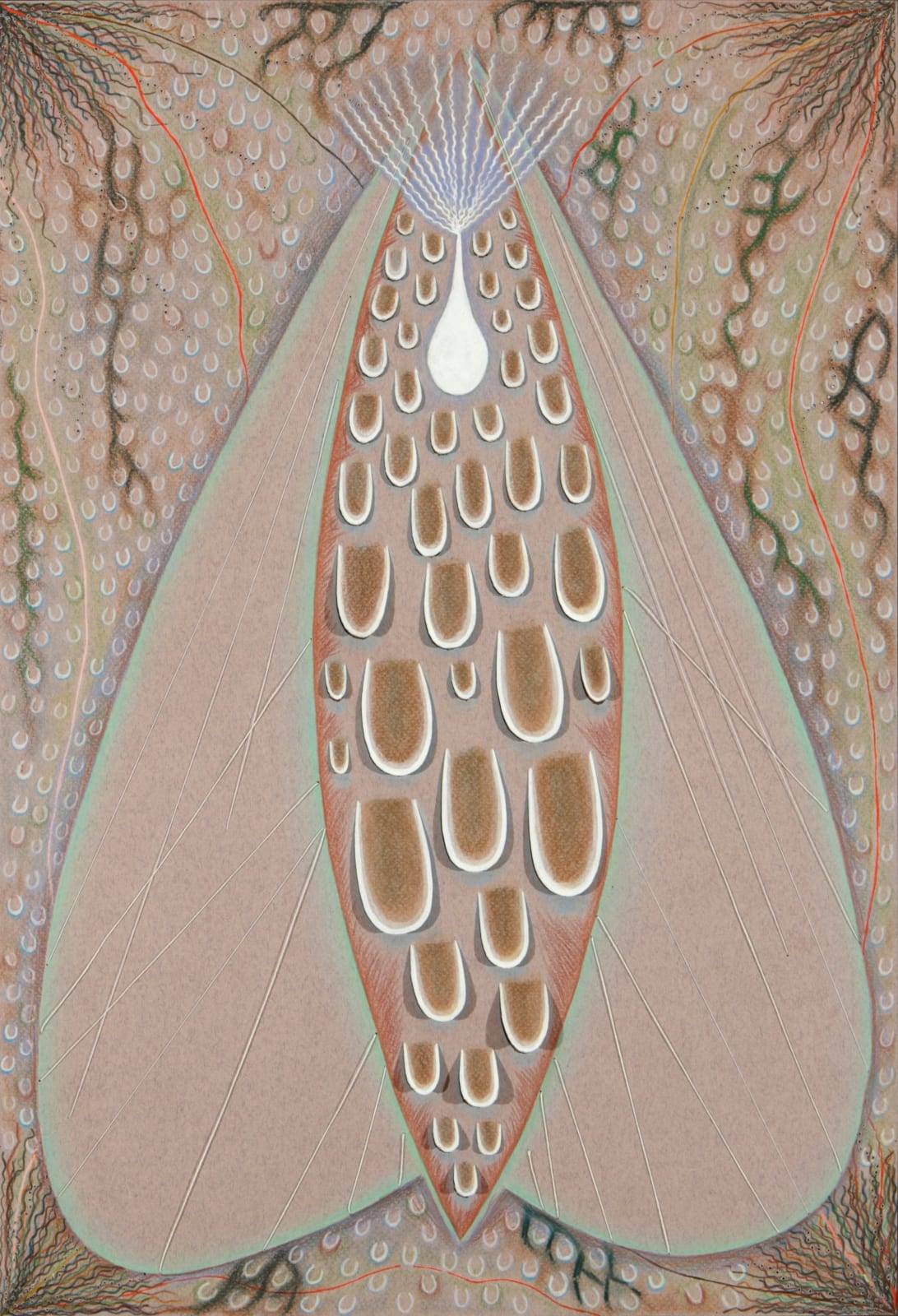 MARCY HERMANSADER, perimorph, 2014