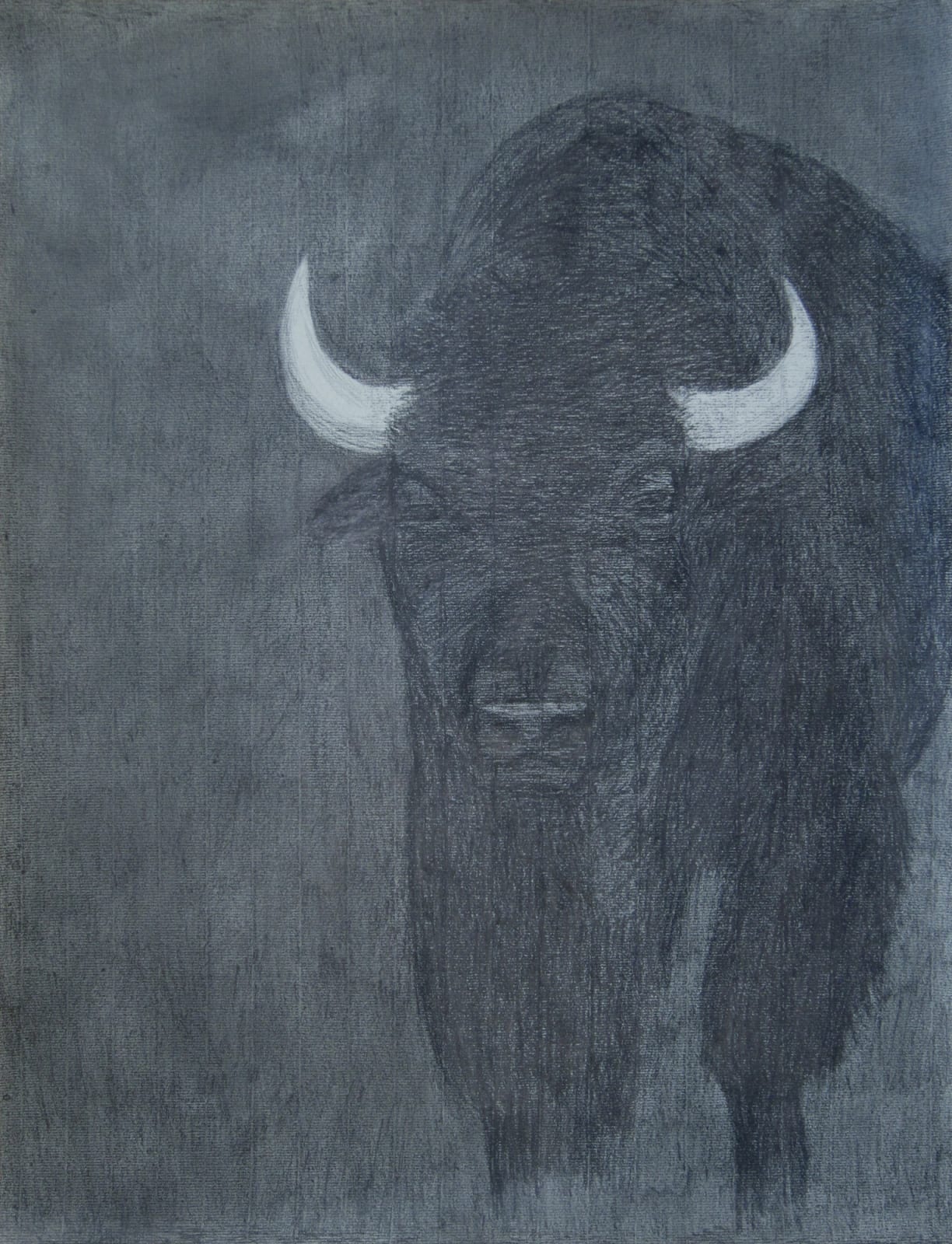 AA - LOCALS NO. 2 , CATHY DURSO - BISON