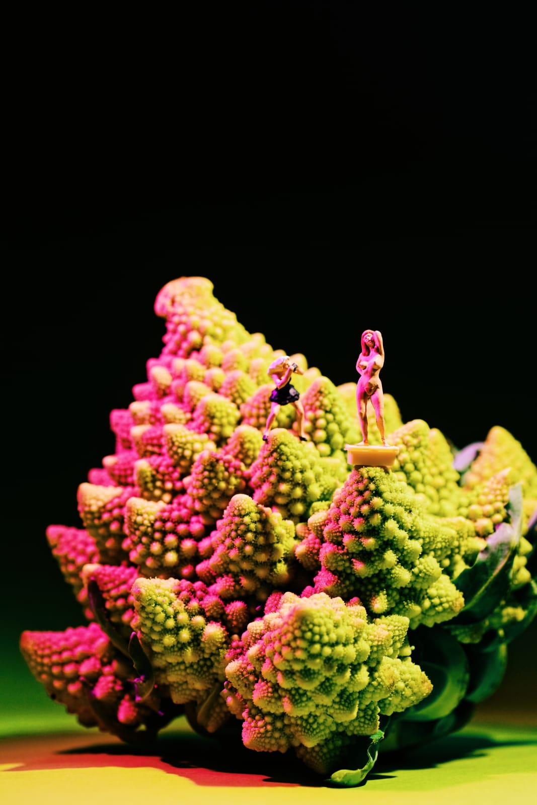 AA - LOCALS NO. 2 , TARA GORMAN - ROMANESCO , 2025
