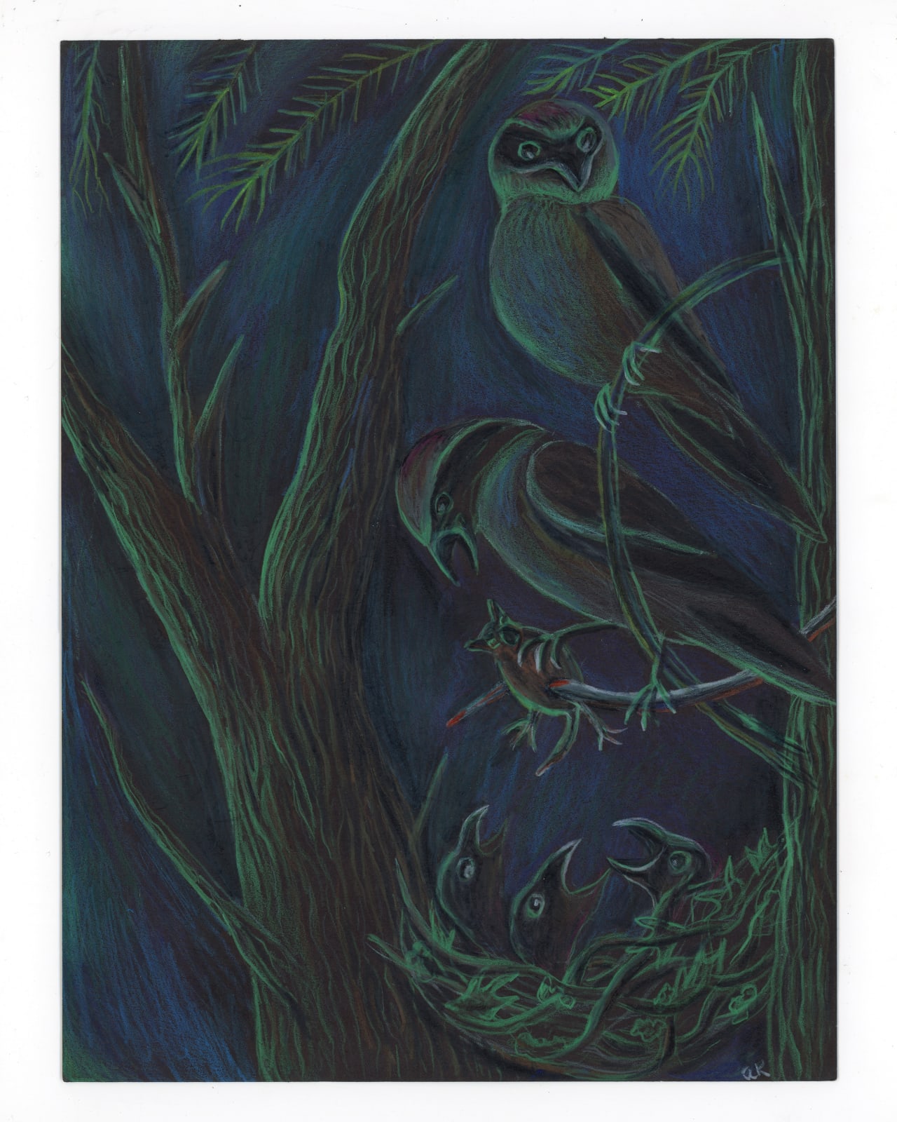 ALEXA KLEINBARD, shrikes feeding chicks