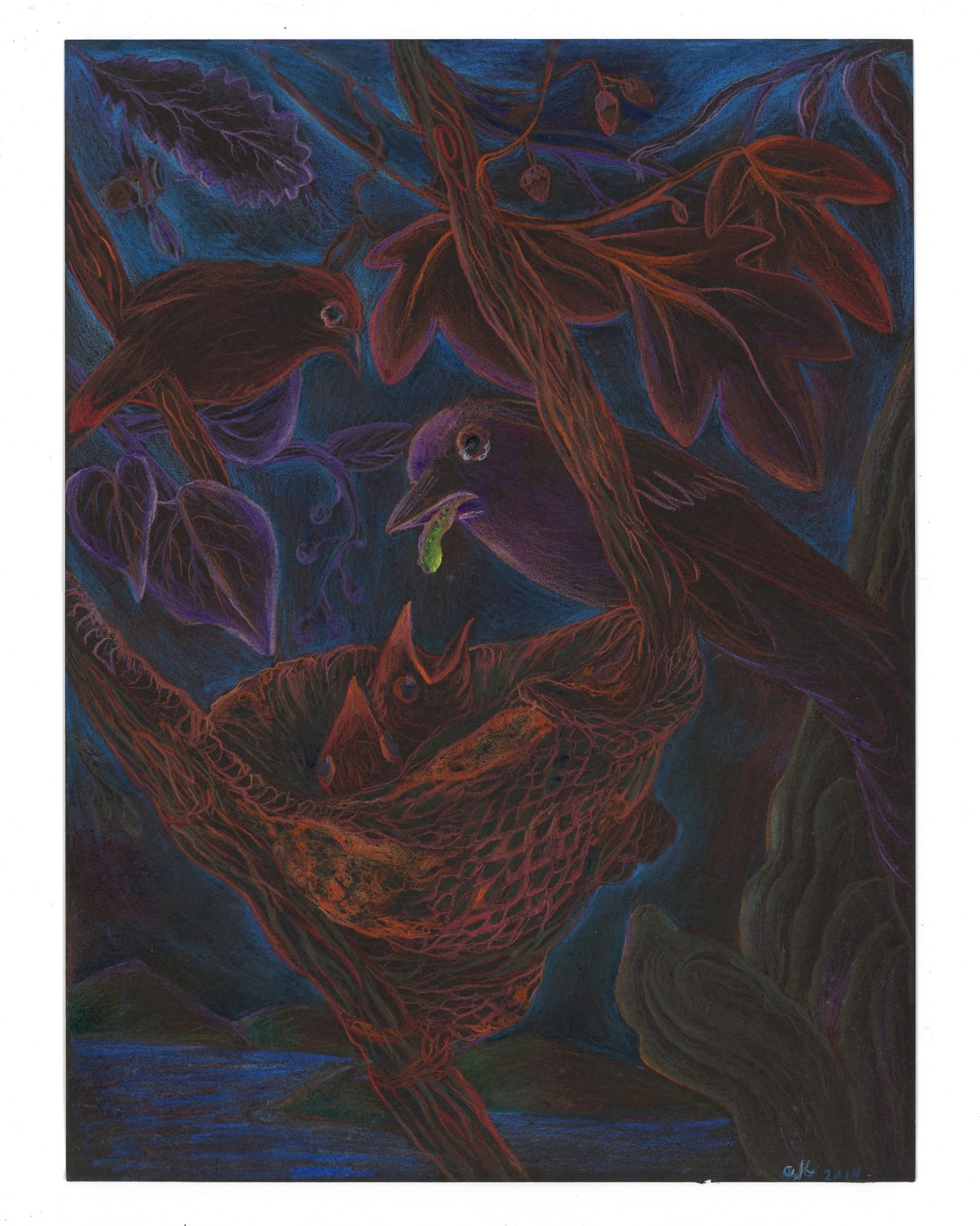 ALEXA KLEINBARD, blue grosbeak mama with chicks