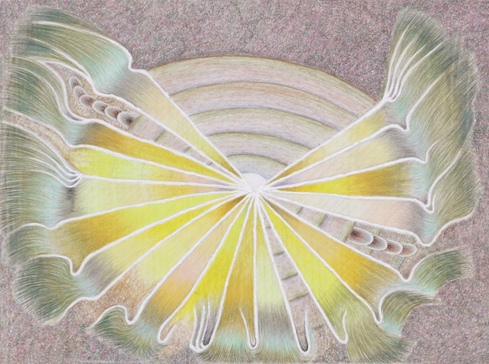 MARCY HERMANSADER, sun spider, 2007
