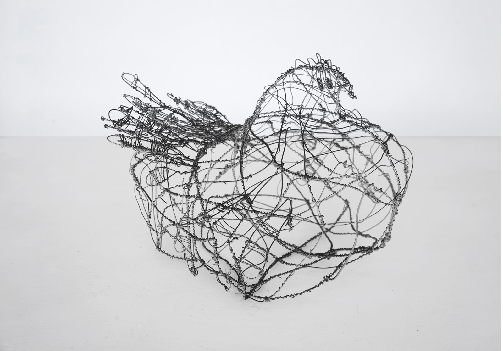 dale anderson, no. 5