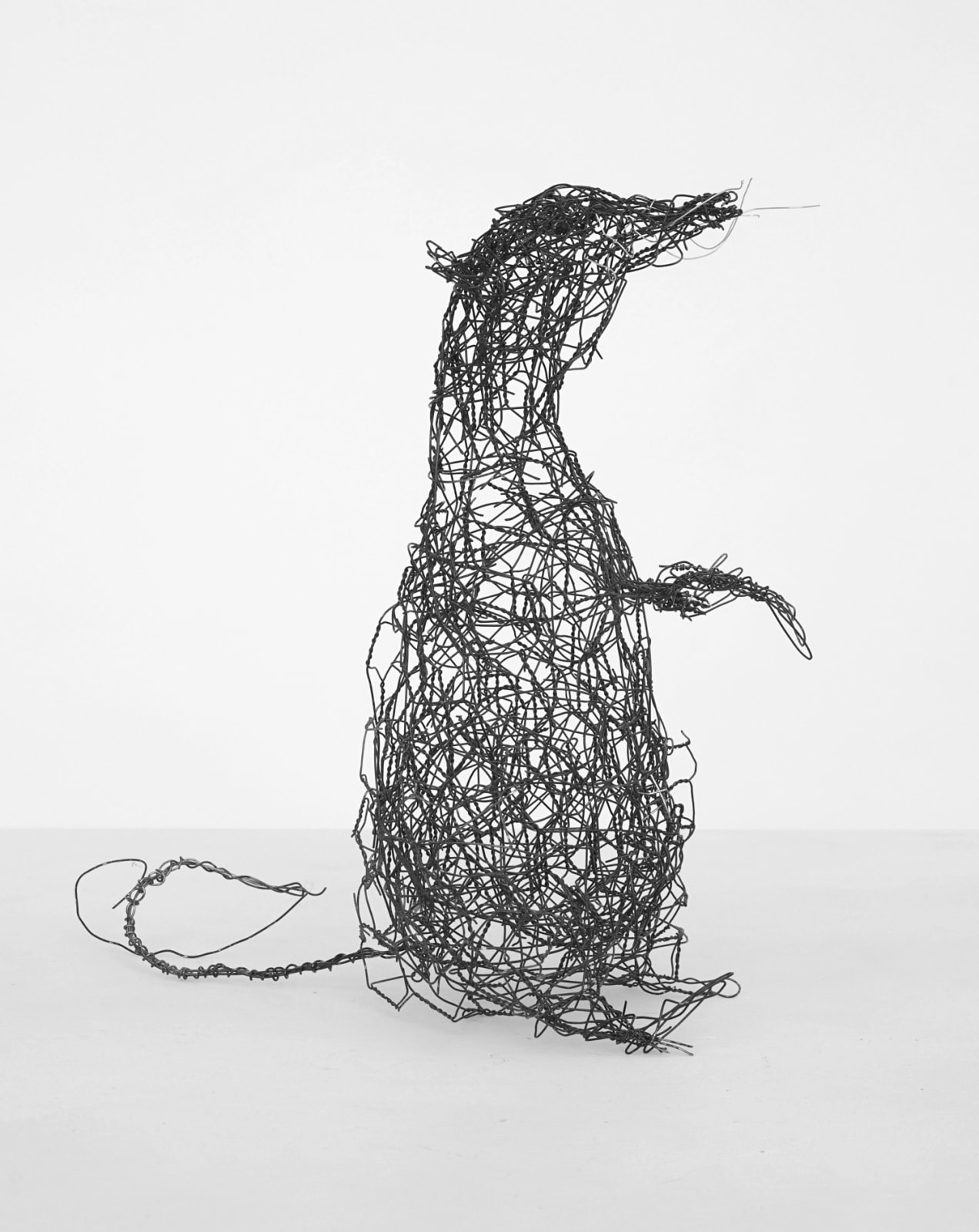 dale anderson, no. 4