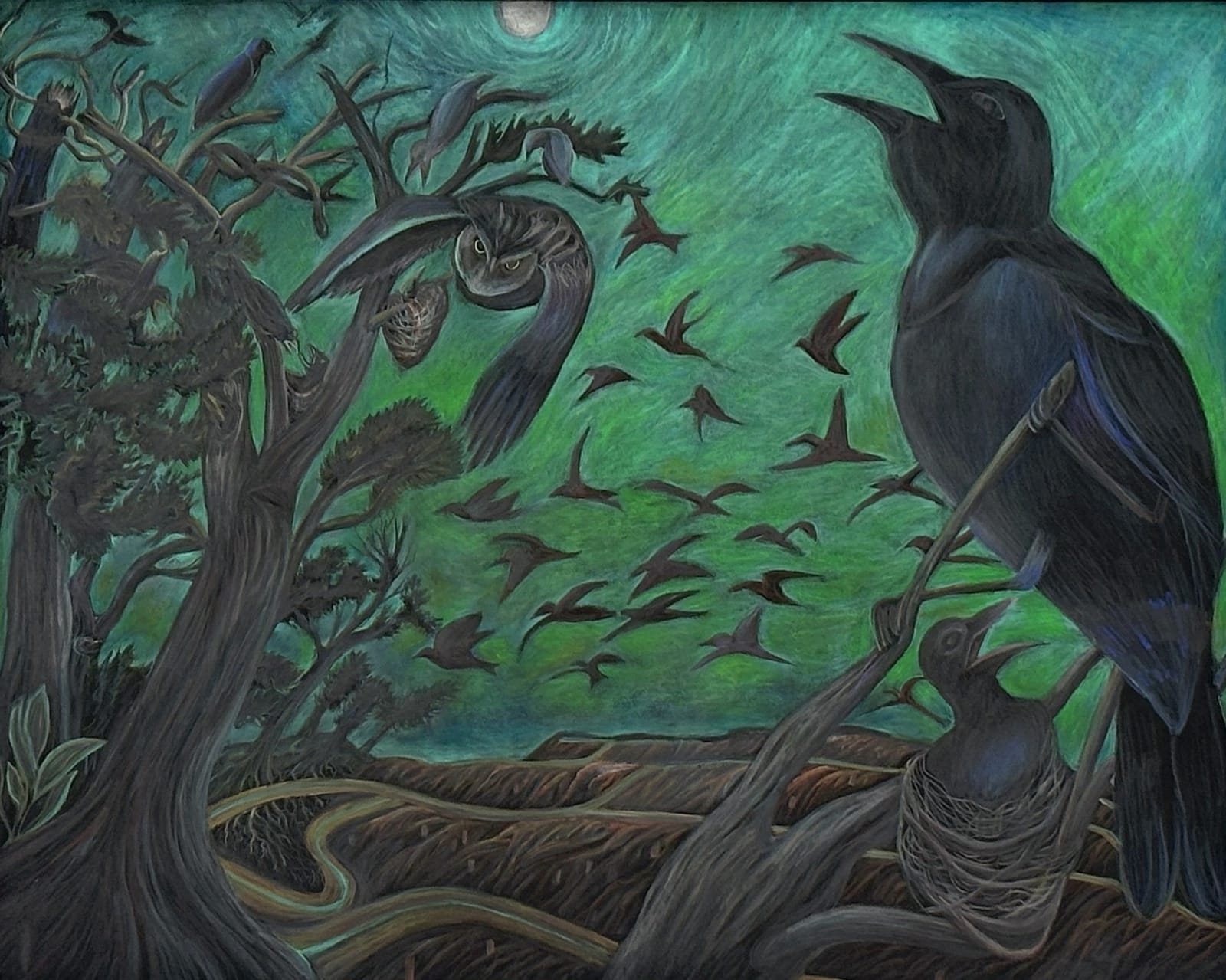 ALEXA KLEINBARD, no more sanctuary