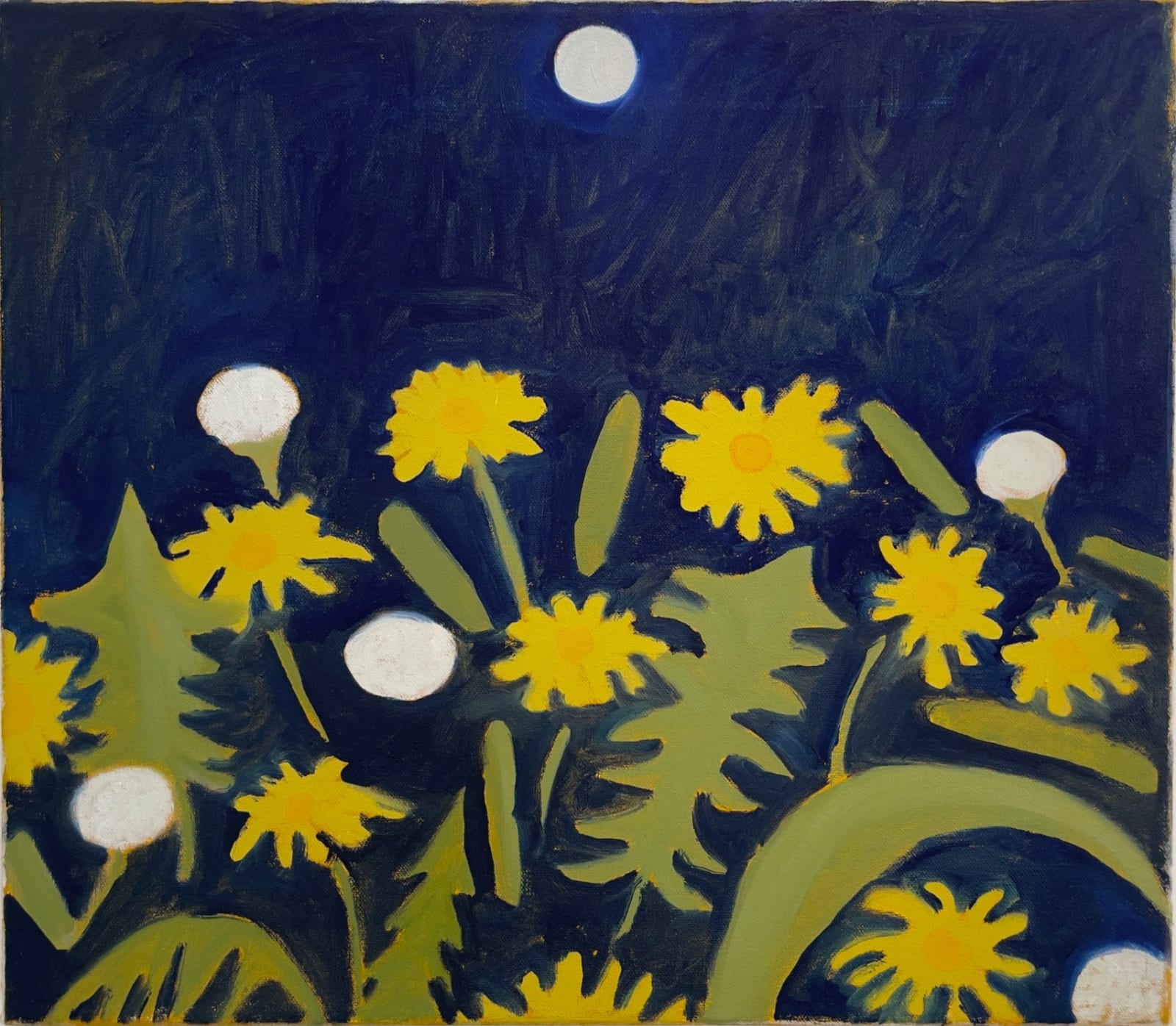 stephen w. evans, dandelions, 2022