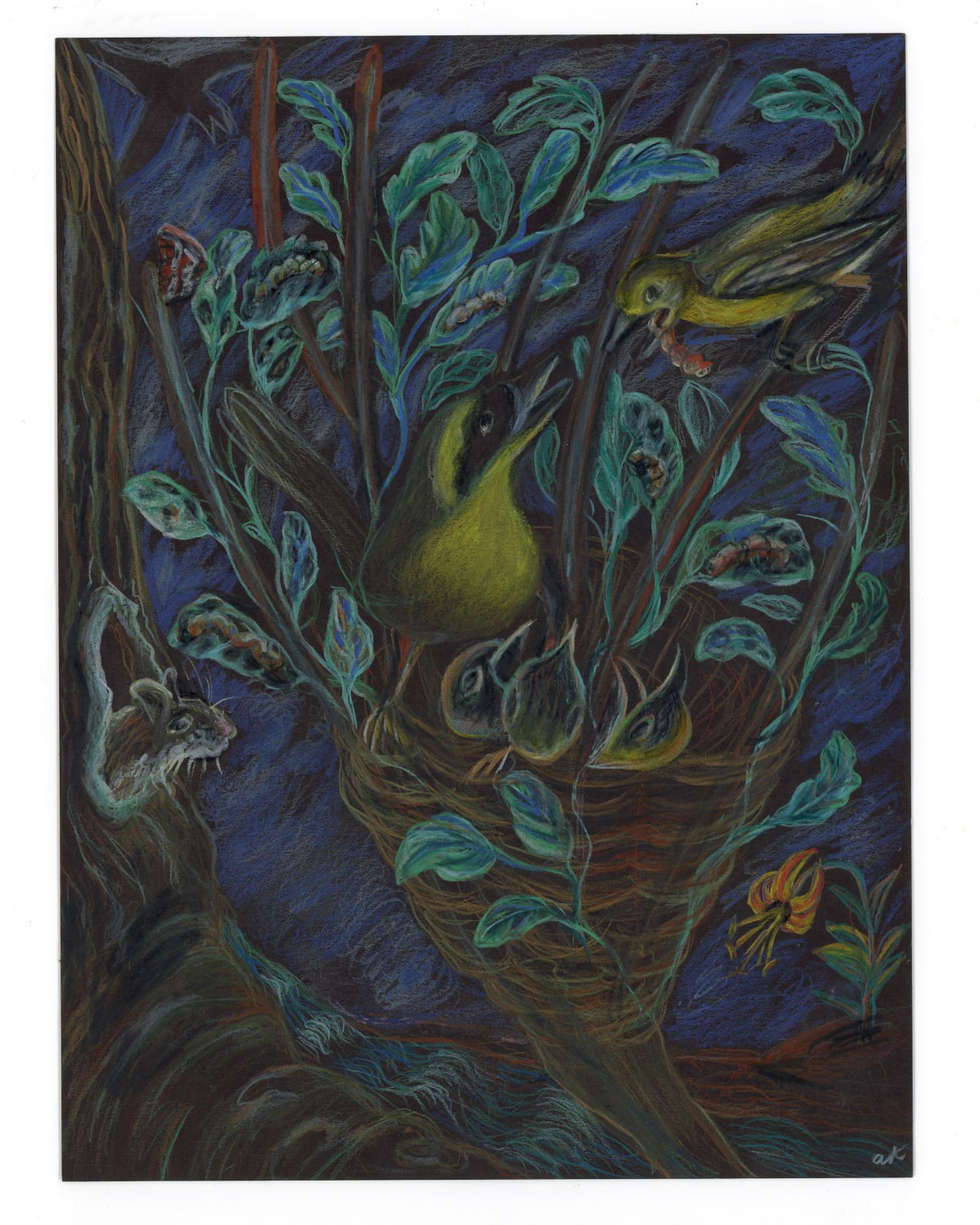 ALEXA KLEINBARD, hood warbler mama nesting