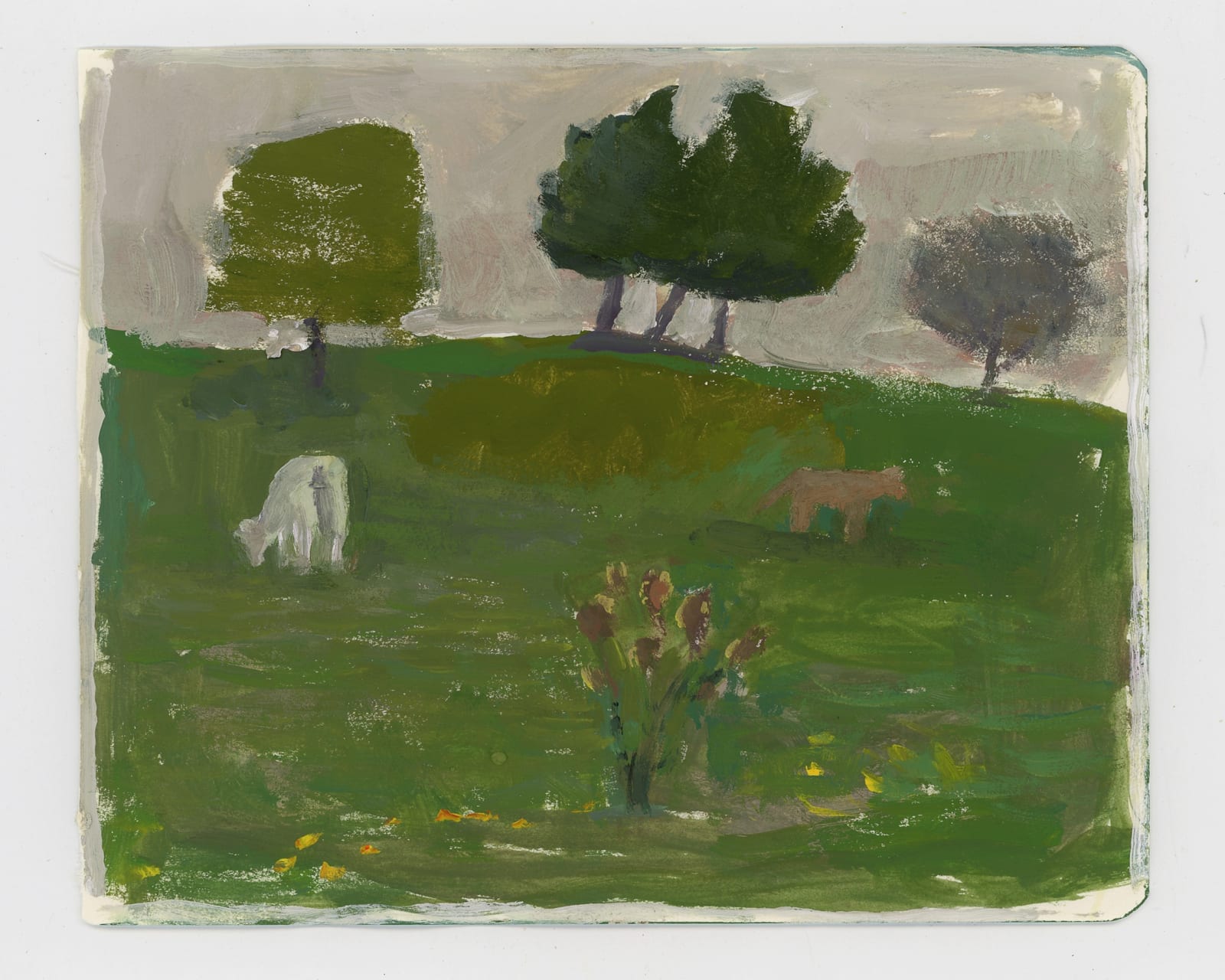 stacy caldwell , no 36 goat path