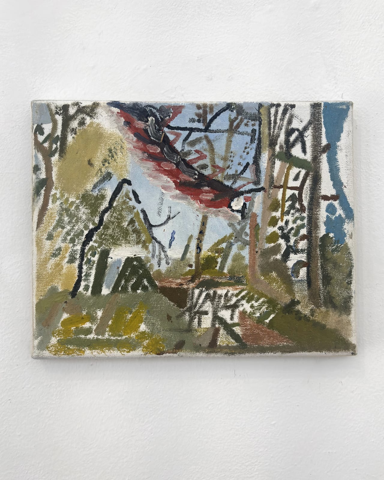 henry murphy, pileated woodpecker. , 2025