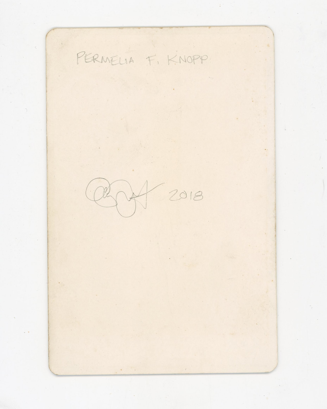 amy johnquest, permelia f. knopp
