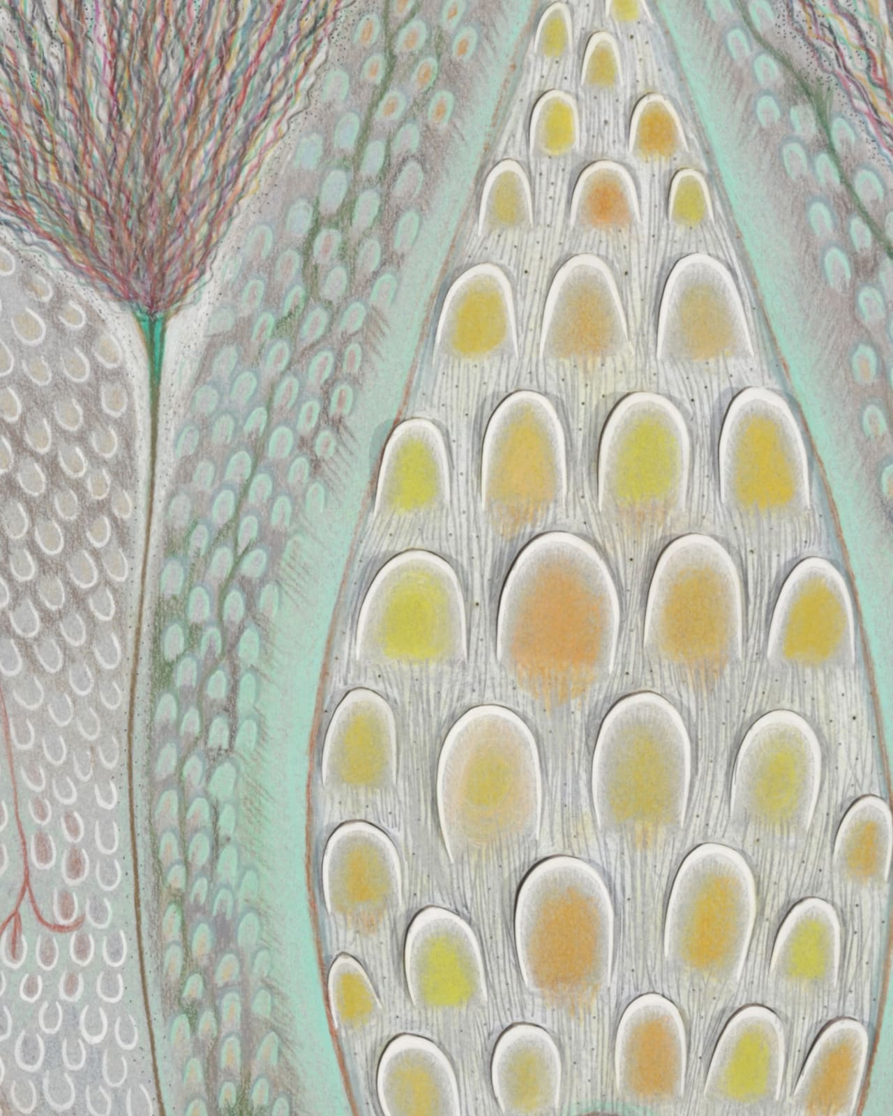 MARCY HERMANSADER, milkweed, 2014