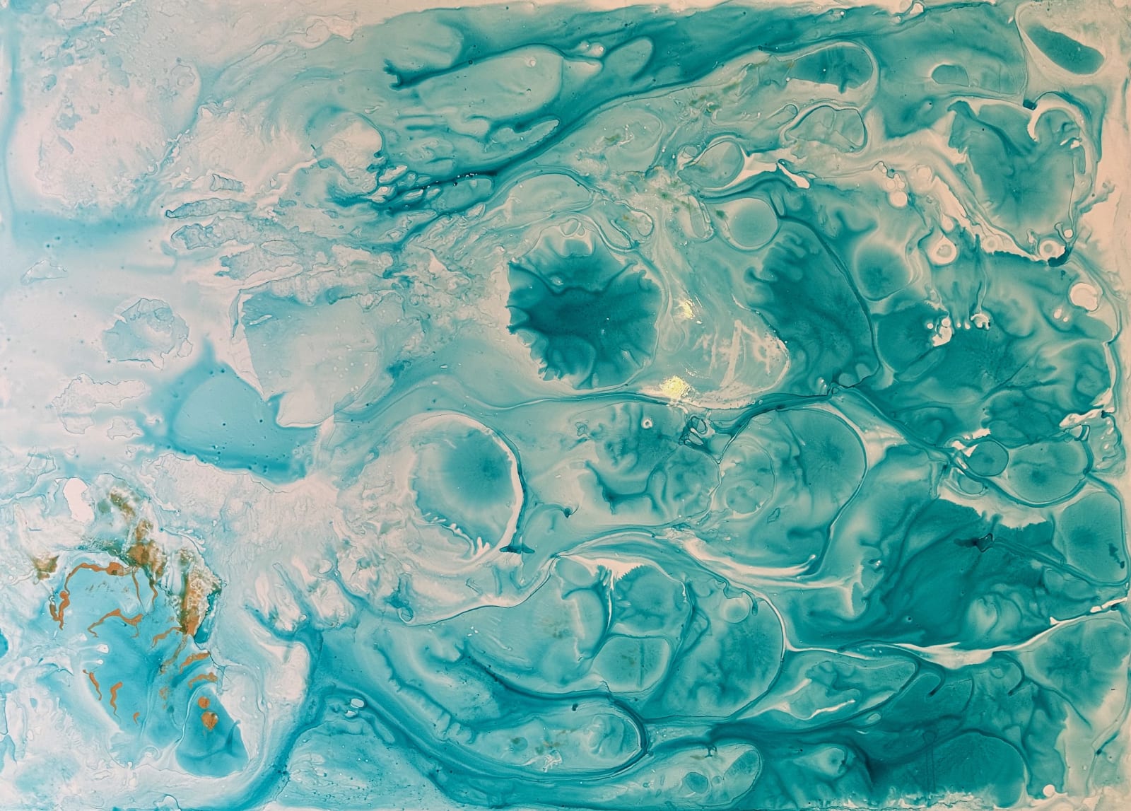 Catherin Bennett, Jellyfish & Golden Carp, 2023