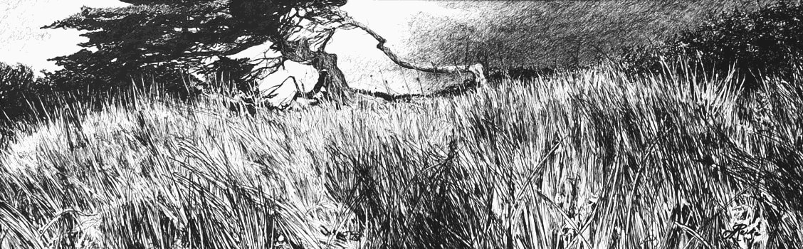 Jo Reitze, Resilience Trees, 2021