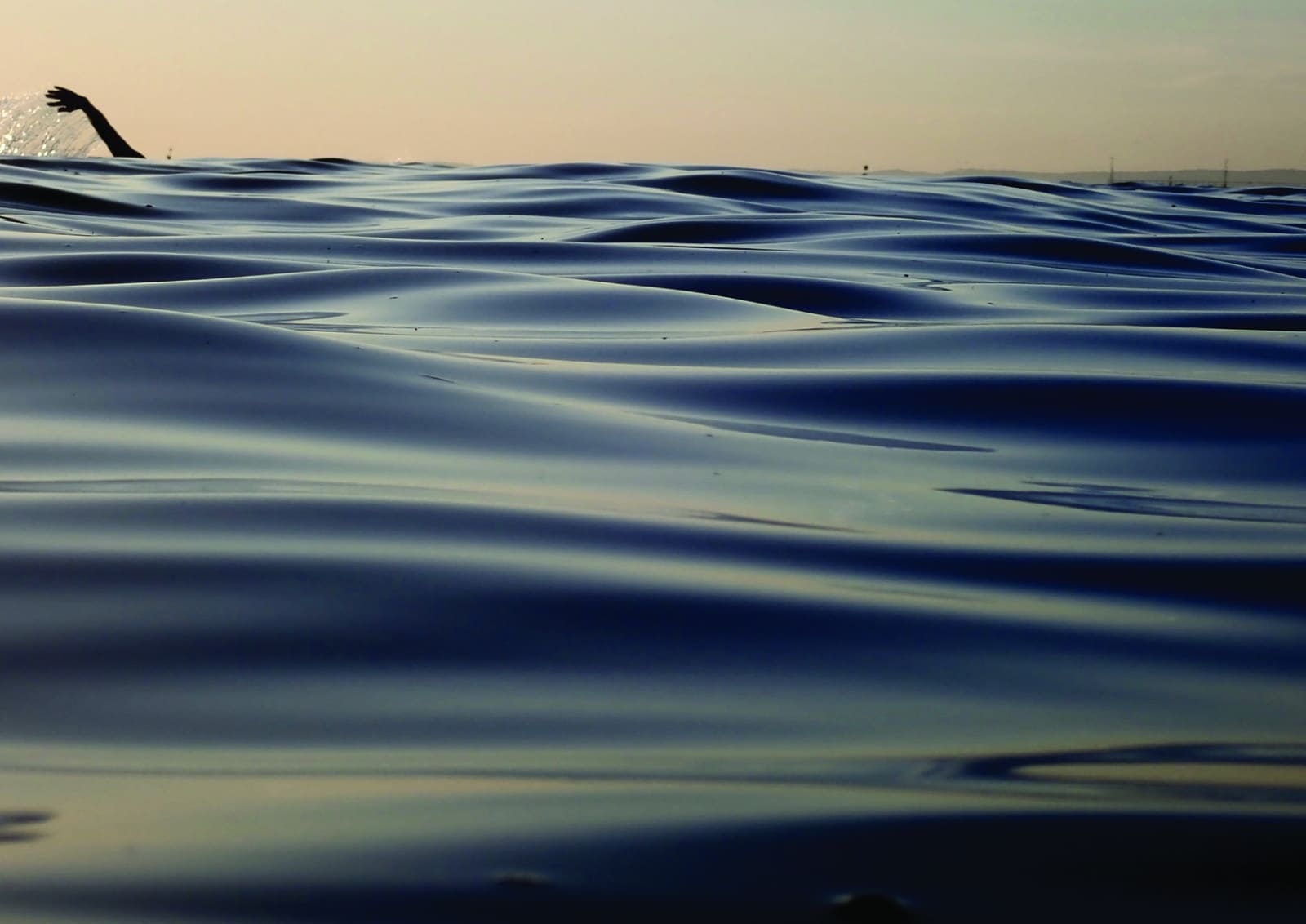 Anne Spudvilas, Swimming In Silk