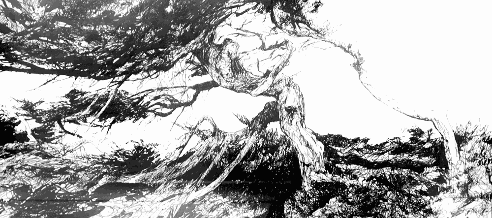 Jo Reitze, Resilience, 2021