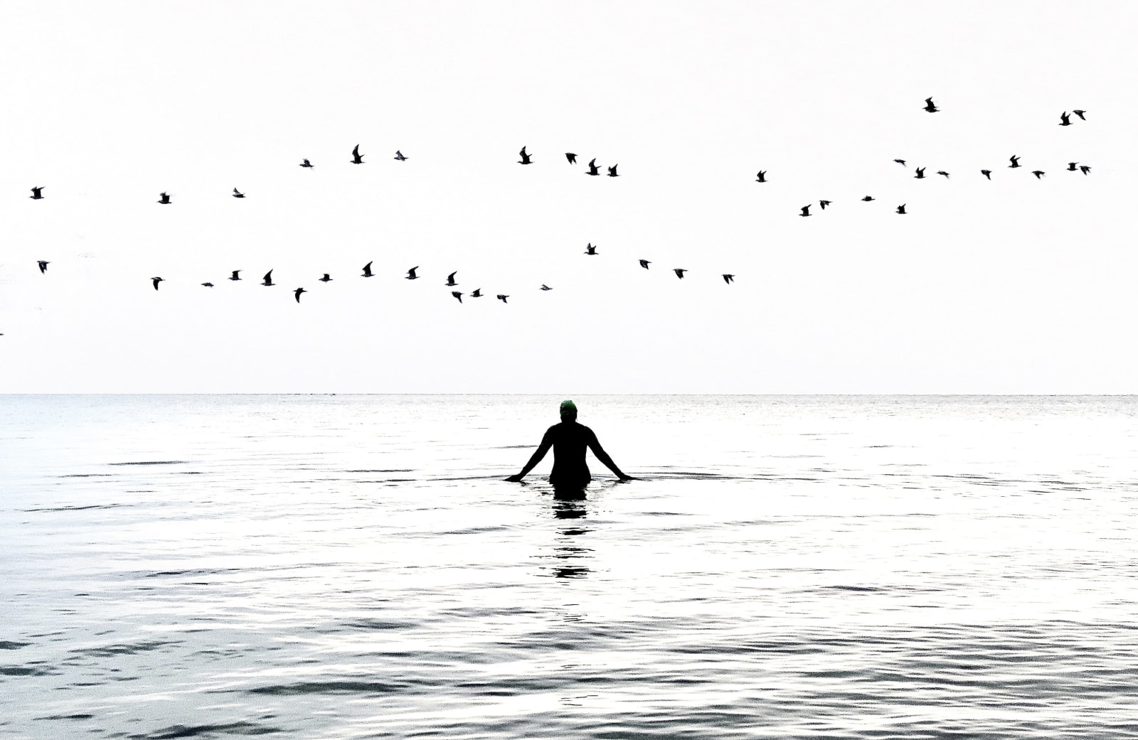 Anne Spudvilas, In The Zone